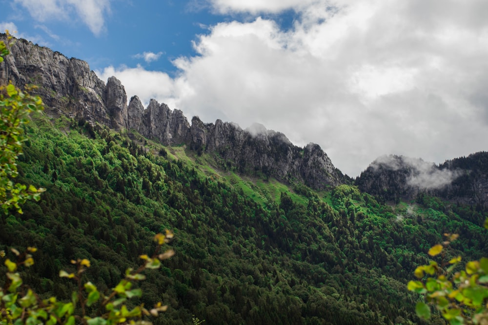 landscape photography of rocky mountain