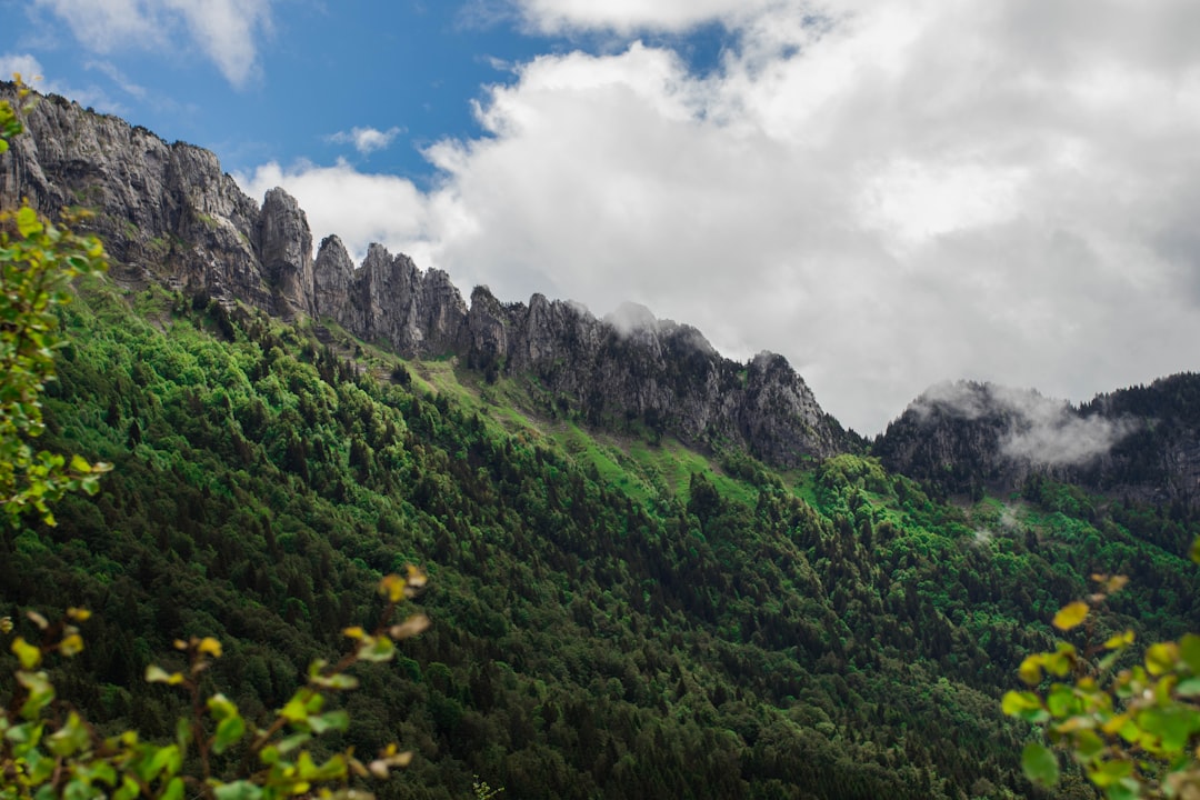 landscape photography of rocky mountain, Jagged peaks over a forest