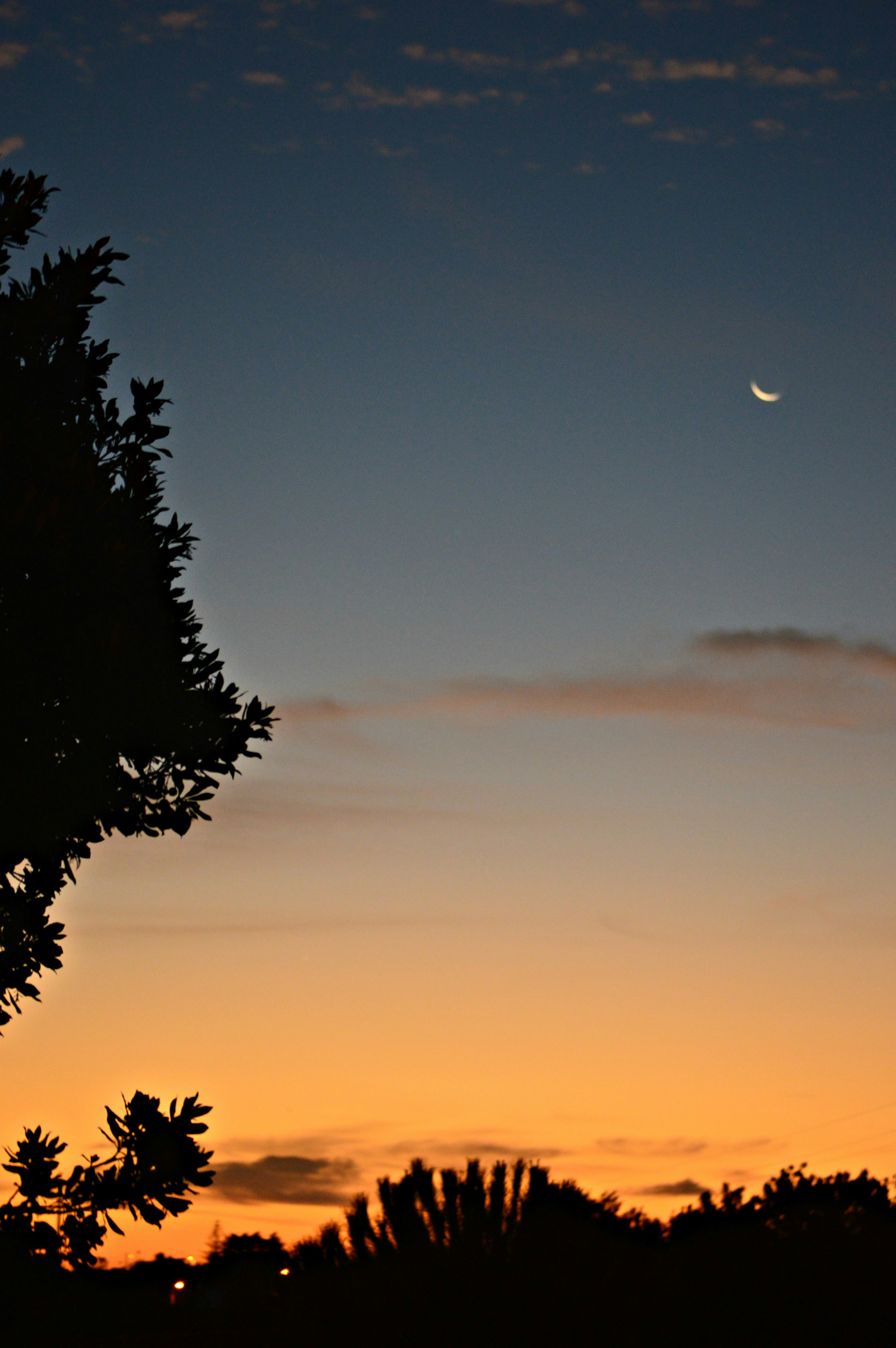 Free Unsplash photo from Marcelo Bagarrao