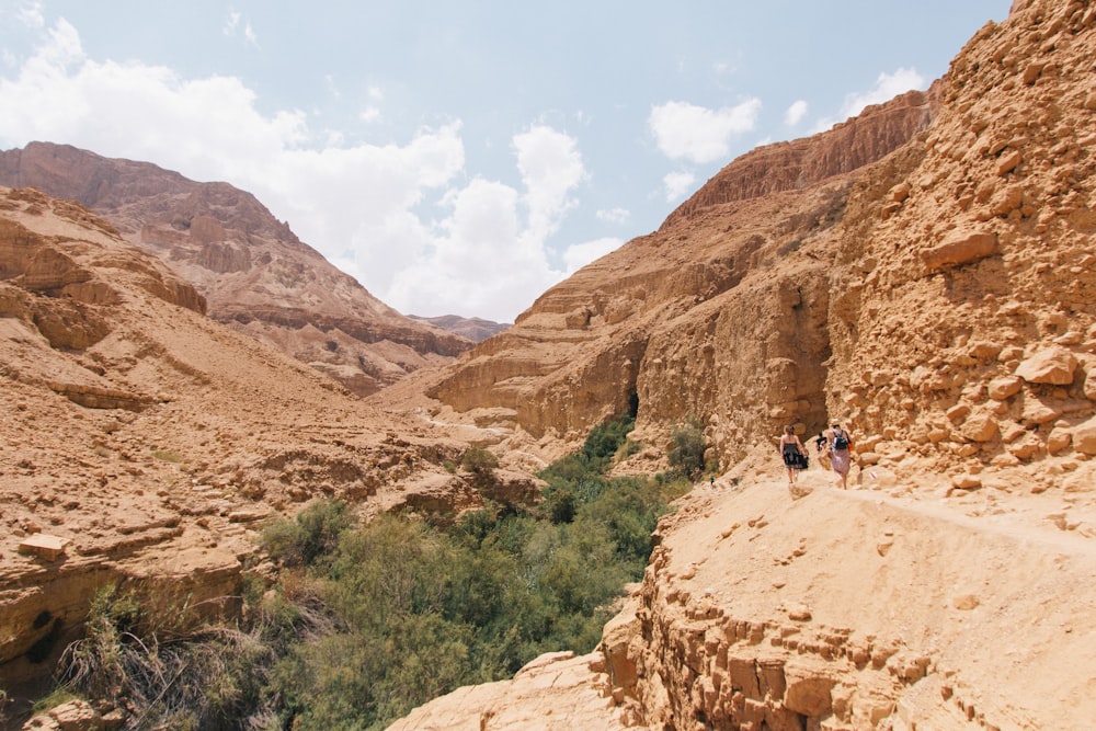 people walking near cliff and trees during daytime