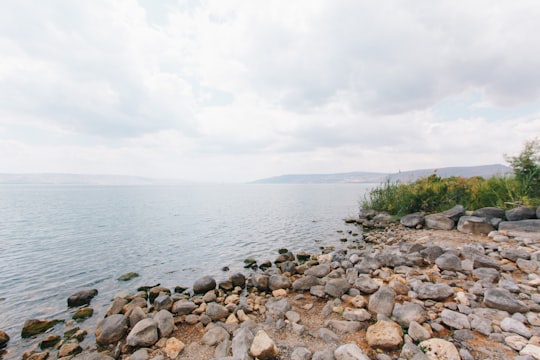 stones beside river in Sea of Galilee Israel