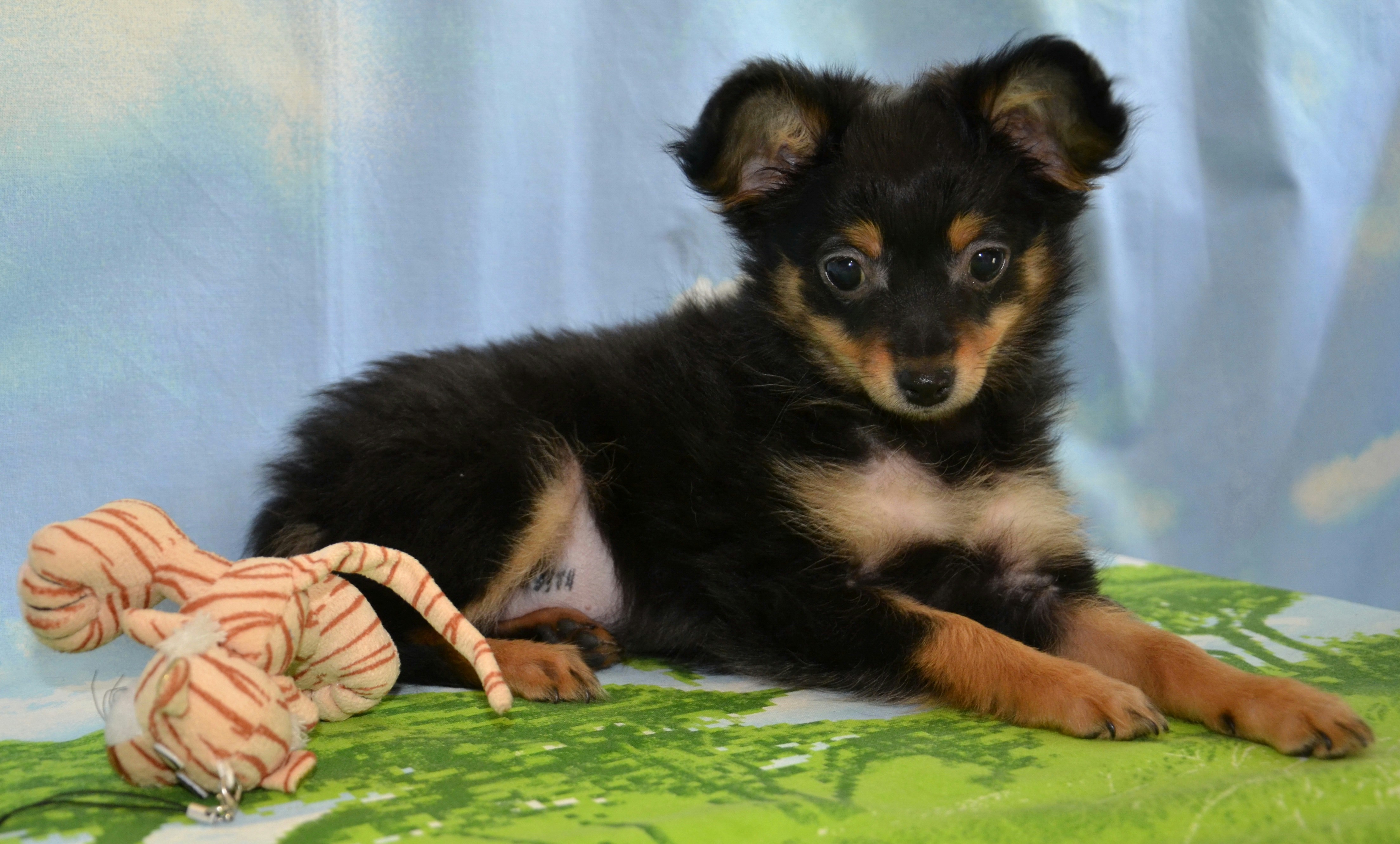 Free Unsplash photo from Mikhail Radin