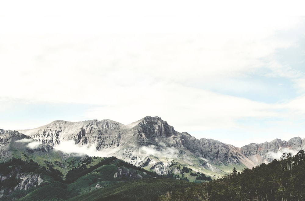 Montagnes vertes sous ciel bleu