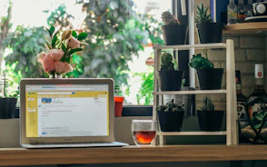 A peaceful home workspace with a laptop open to a Reiki course