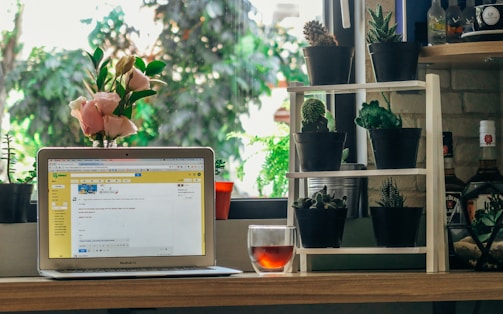 A cozy home workspace features a laptop displaying an email interface, surrounded by decorative elements like fresh pink flowers and a variety of small potted cacti and succulents on a wooden shelf. A glass of tea rests nearby. The scene is set against a backdrop of green foliage visible through the window, creating a calming and natural atmosphere.