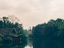 A serene riverside tribal village with traditional huts nestled among lush greenery.