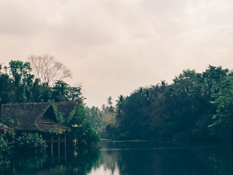 A serene riverside scene with lush green foliage and several thatched-roof huts surrounded by dense trees. The calm water reflects the sky and greenery, creating a tranquil atmosphere.