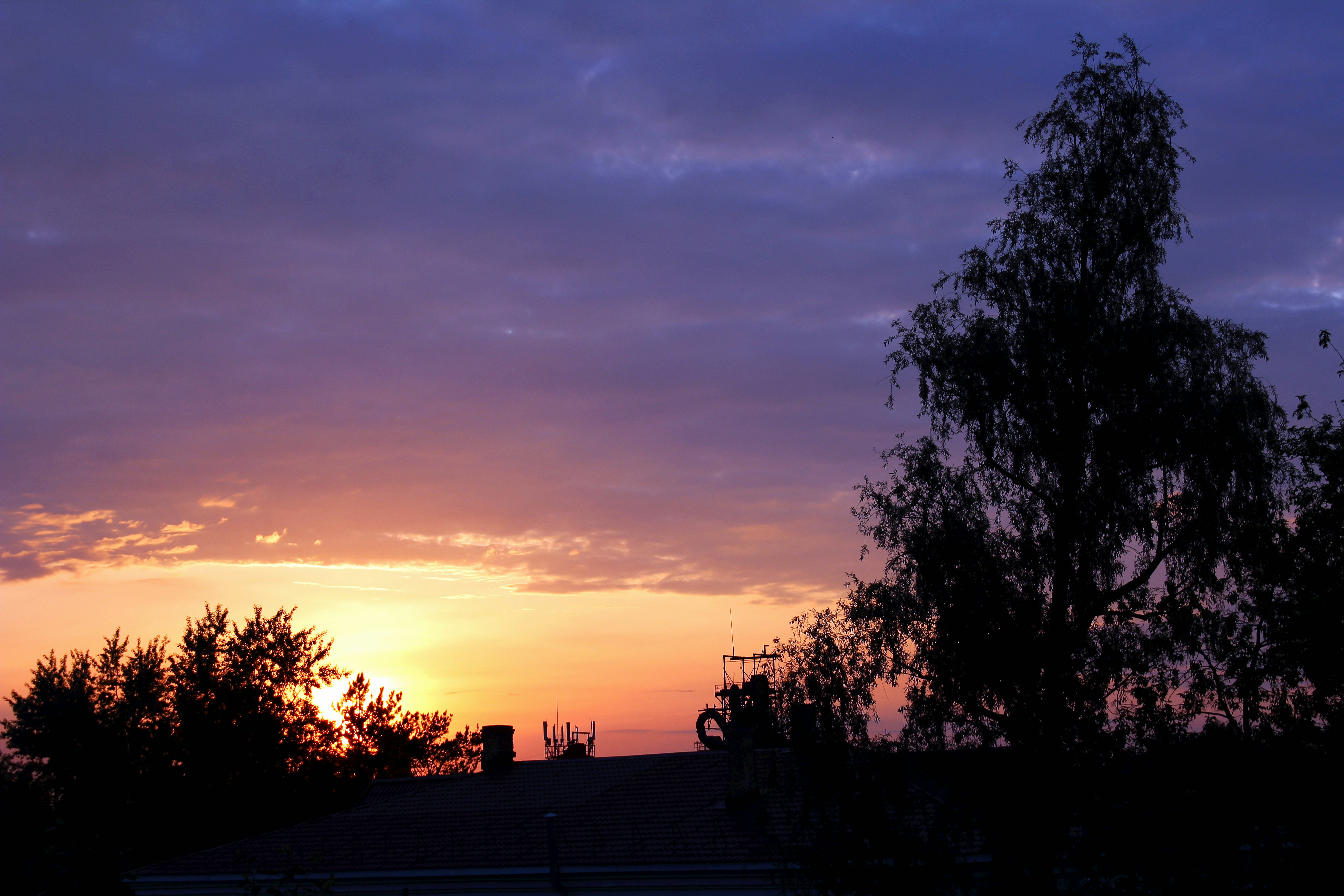 Free Unsplash photo from Frankie K.