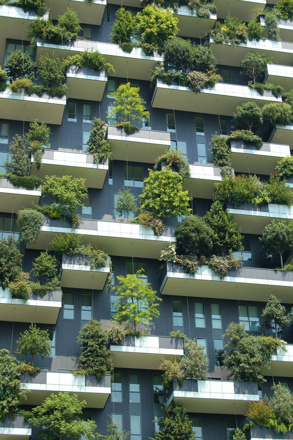 low angle photo of gray building with green plants