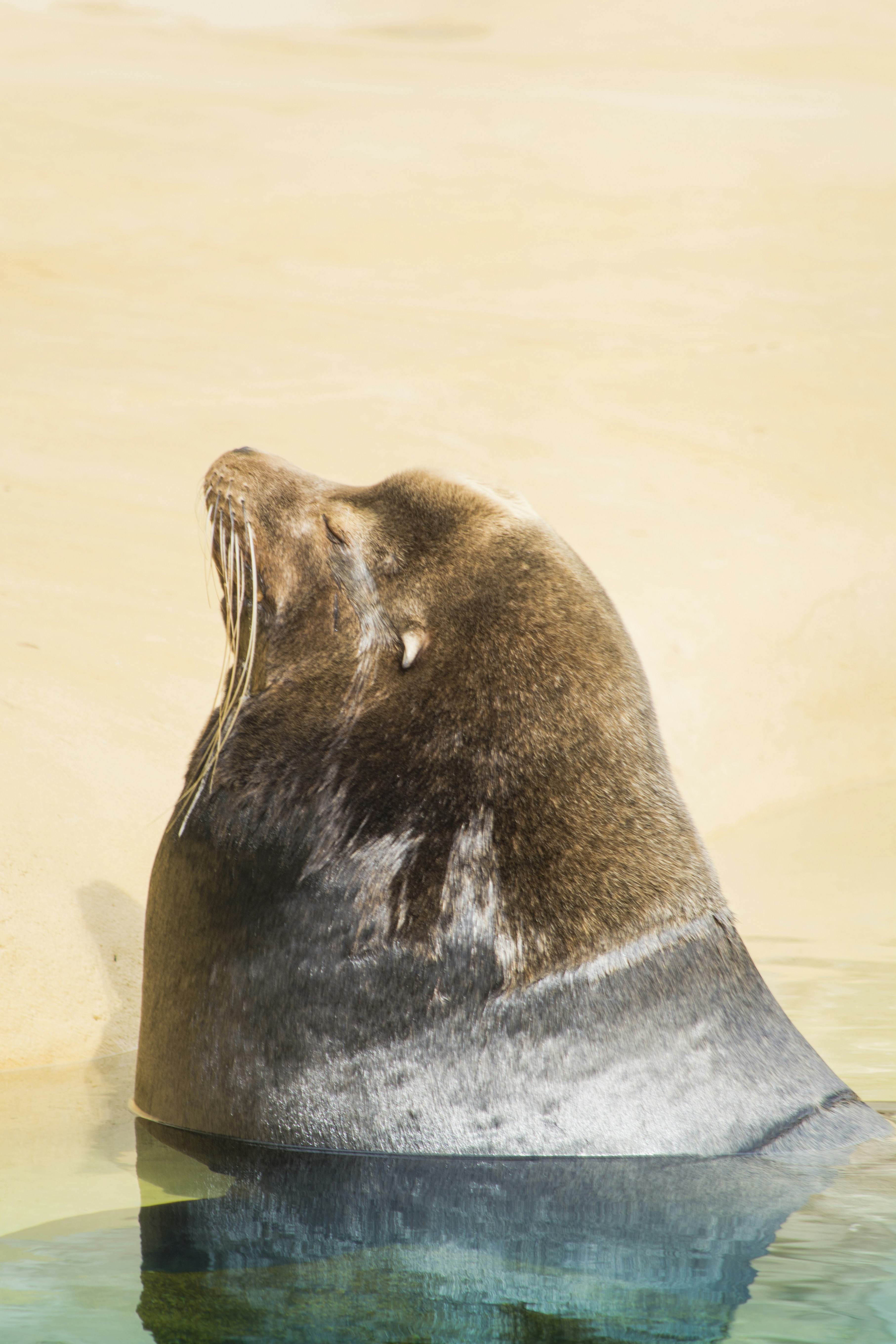 Free Unsplash photo from Rodrigo Rodriguez