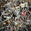 A chaotic assortment of various metal and plastic hardware items, including screws, bolts, anchors, a hinge, and other fasteners. The objects overlap each other, creating a dense and intricate texture.