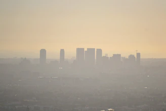 A city skyline shrouded in thick smog during sunset, highlighting urban air pollution.