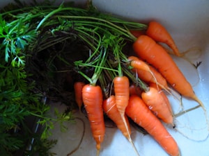 Sweet Carrot