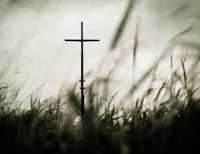 What Lent and the Triduum Can Teach Us