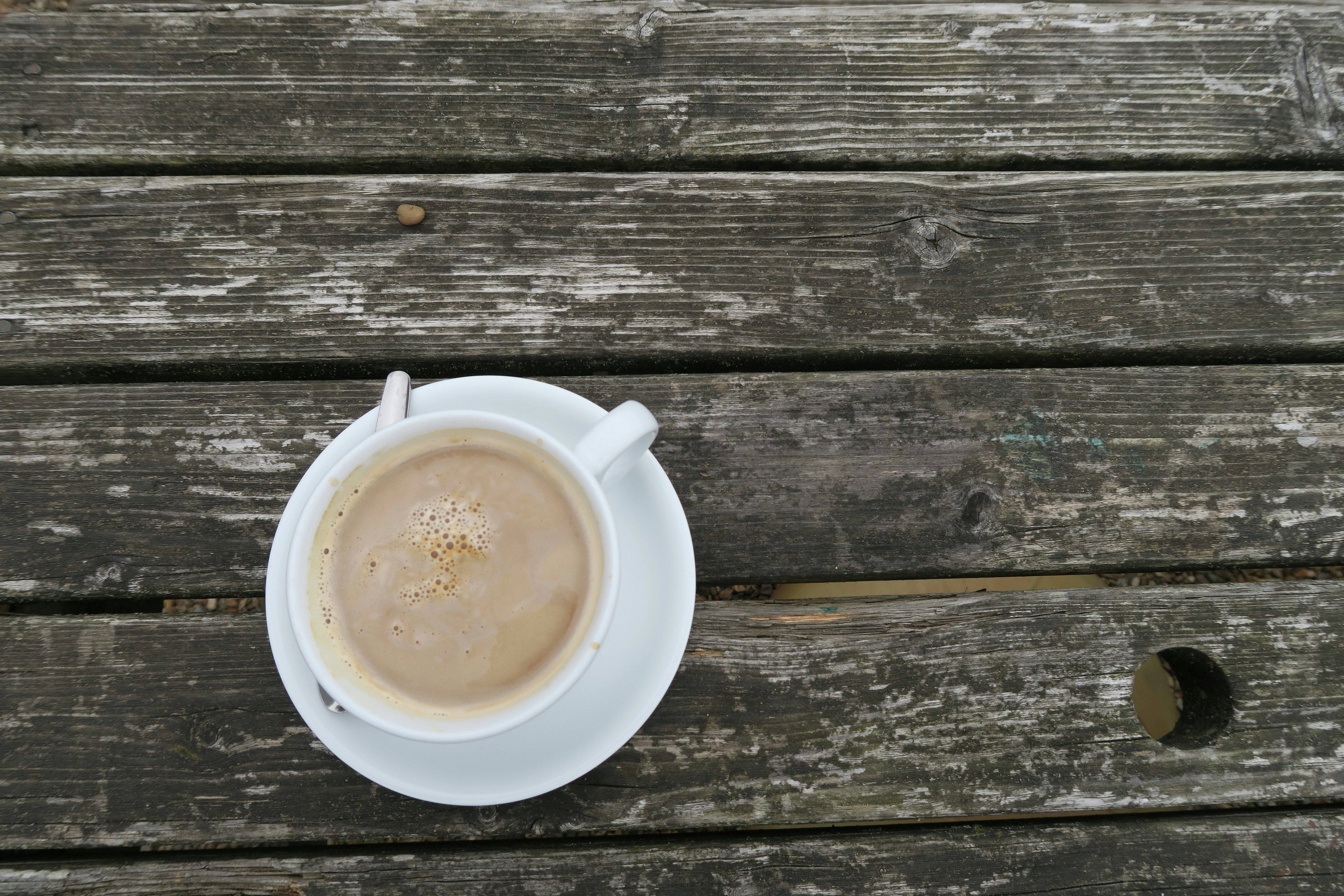 Free Unsplash photo from Fiona Newsam