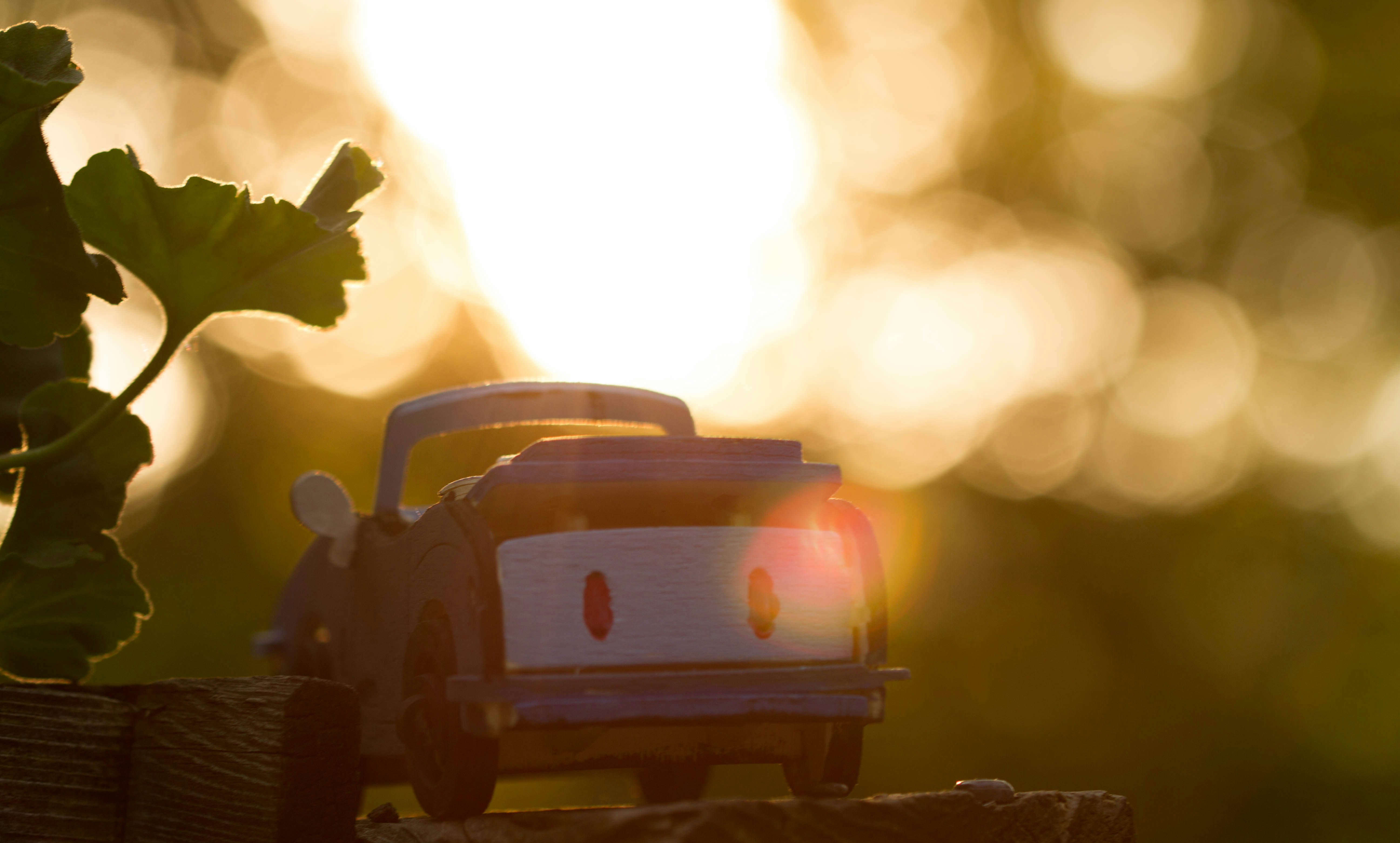 Free Unsplash photo from Tom Ezzatkhah