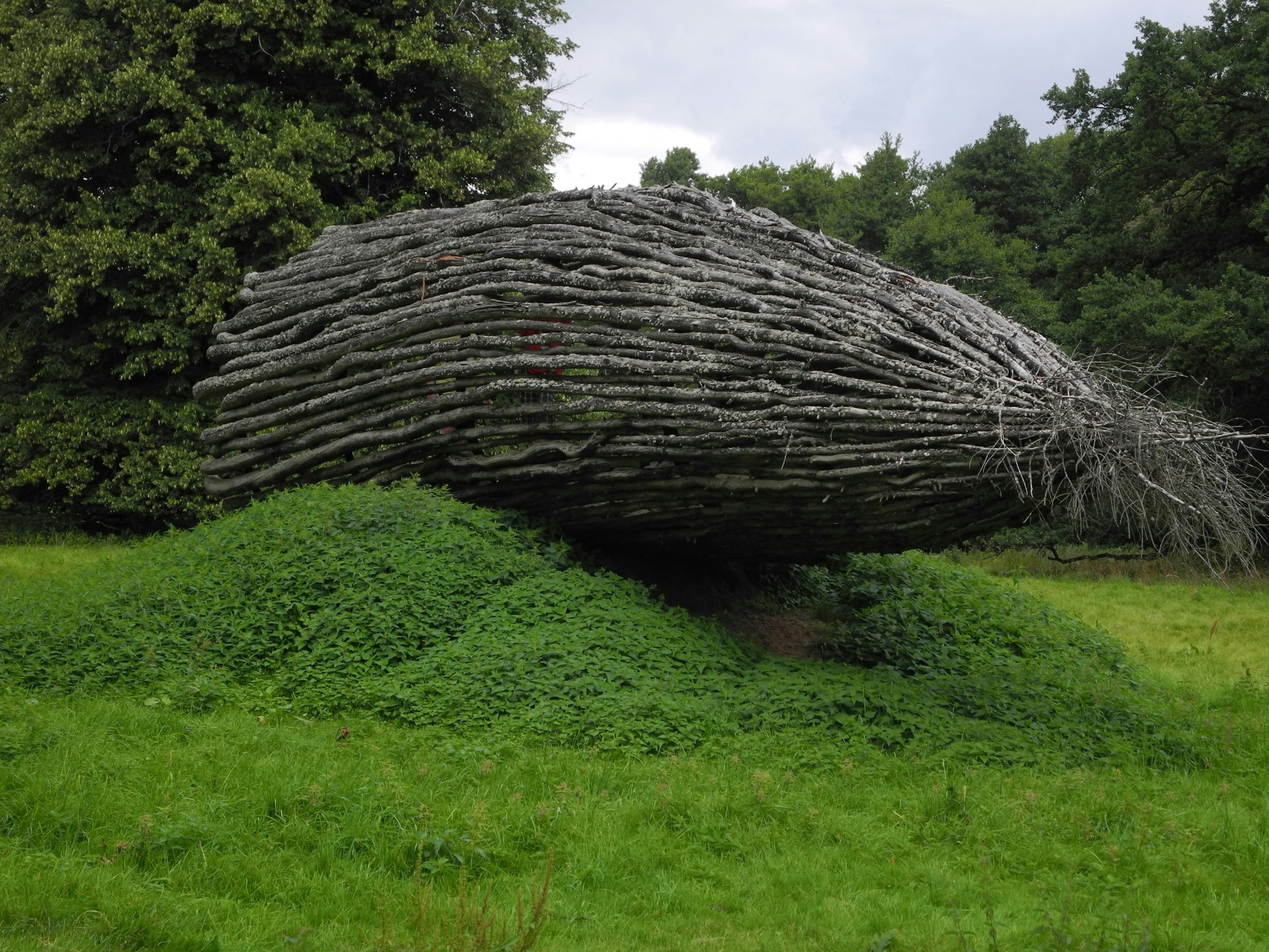 Free Unsplash photo from Bernd Bosbach