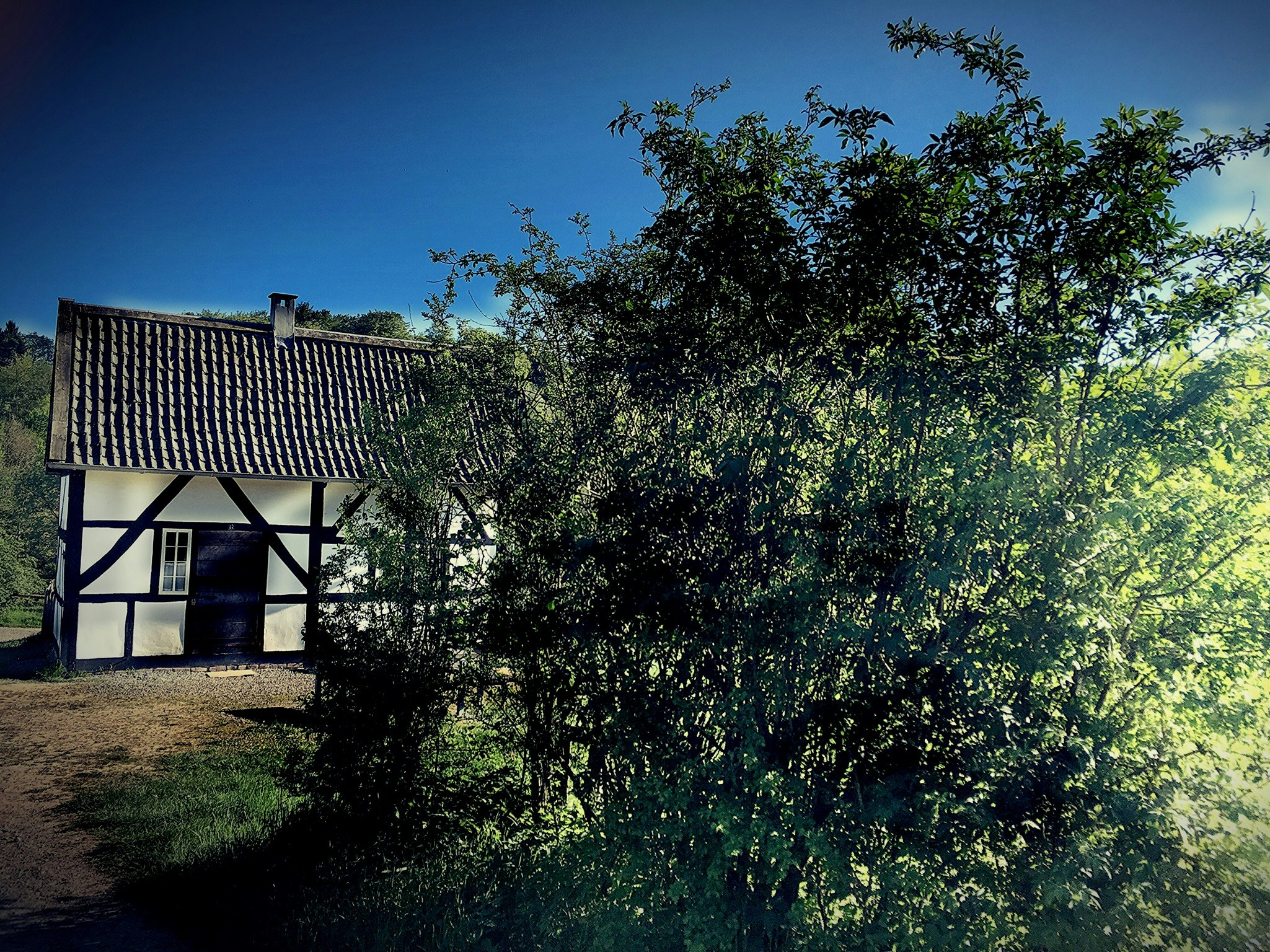 Free Unsplash photo from Bernd Bosbach