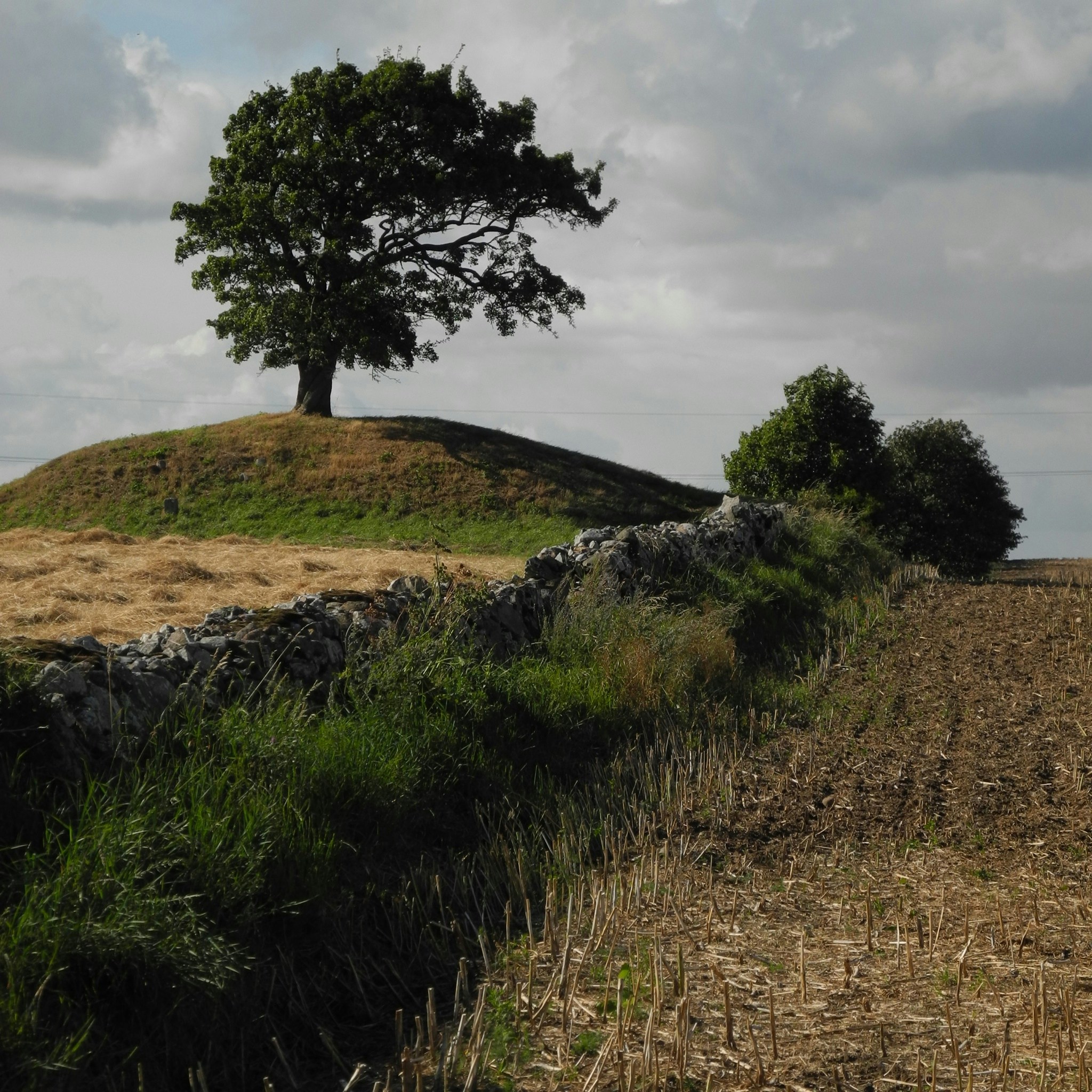 Free Unsplash photo from Bernd Bosbach