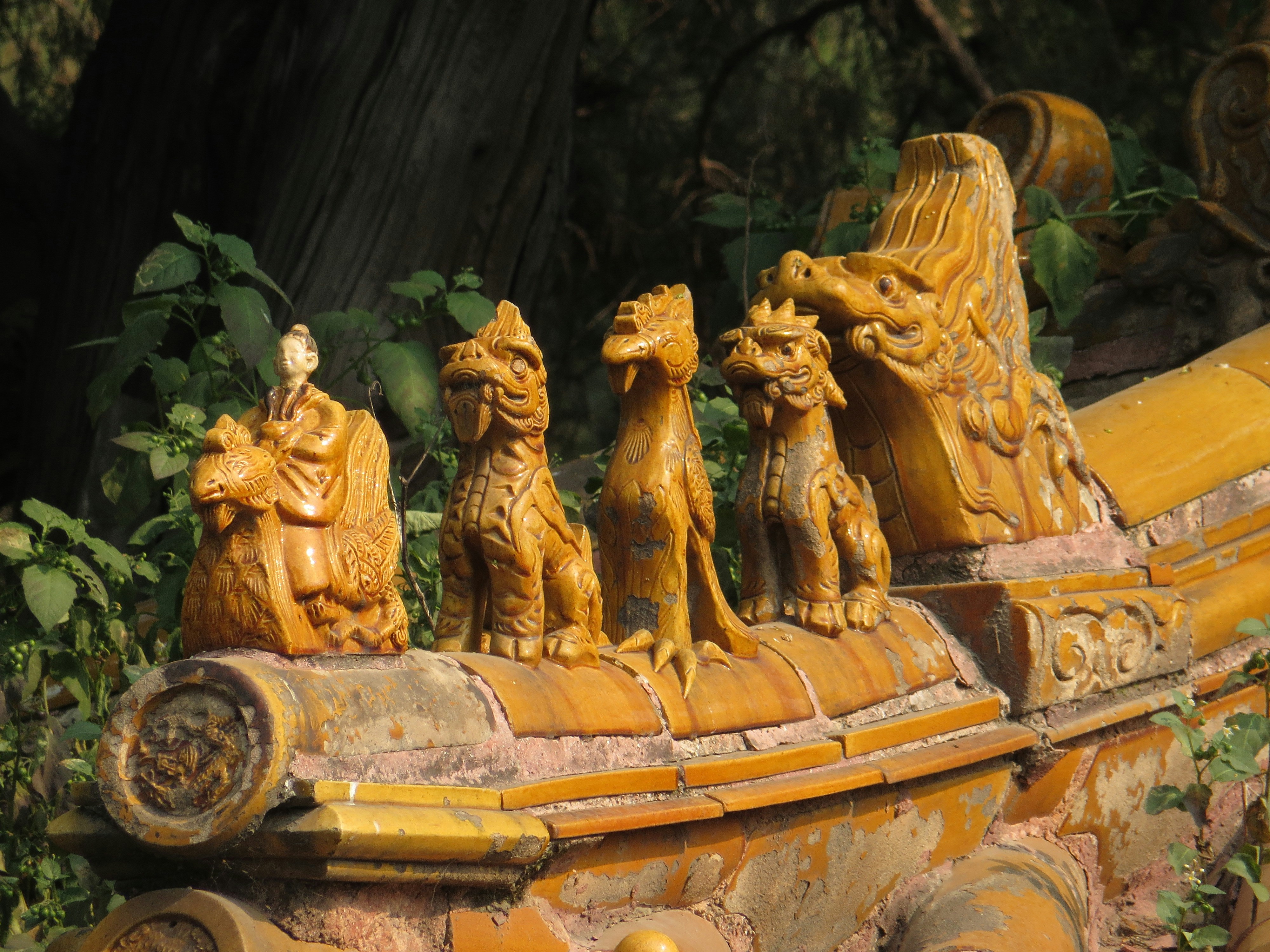 Free Unsplash photo from Ania Knight