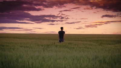 man standing between tall grasses during golden hour plain zoom background