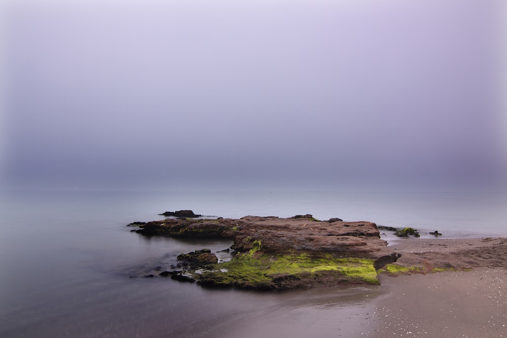 Landschaftsfotografie von grünem Grasfeld