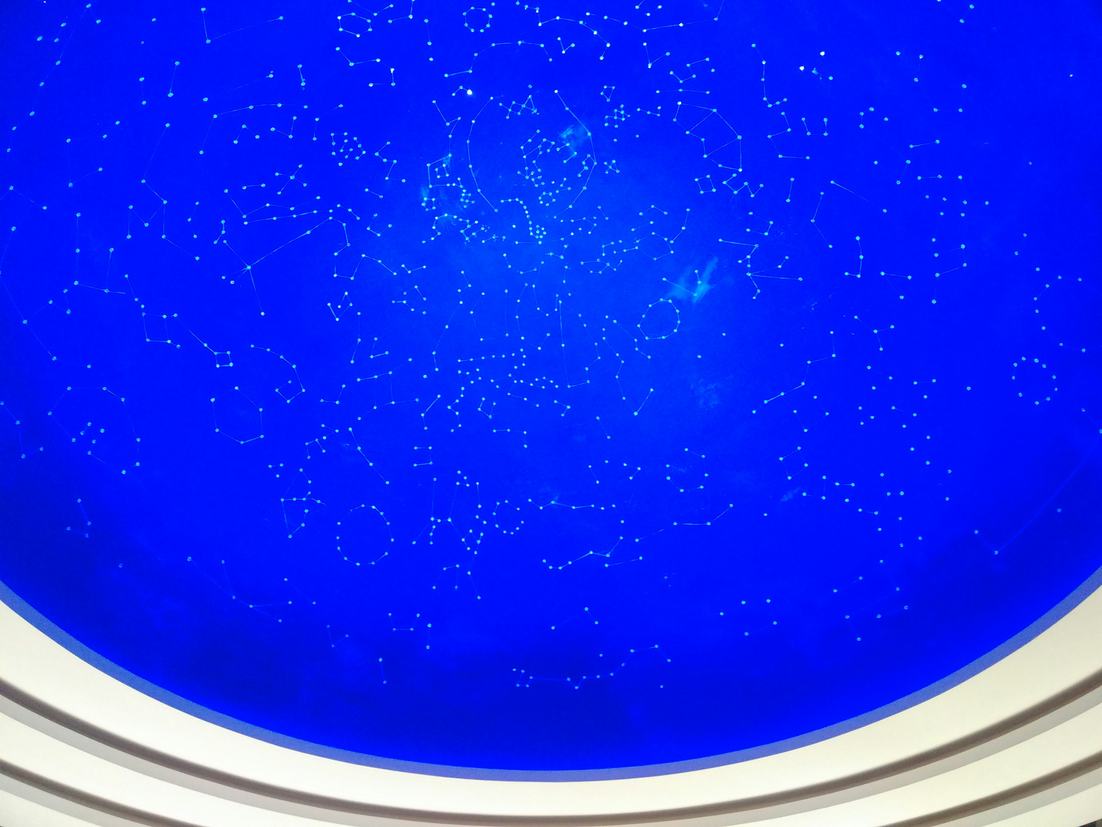 Free Unsplash photo from W ZX