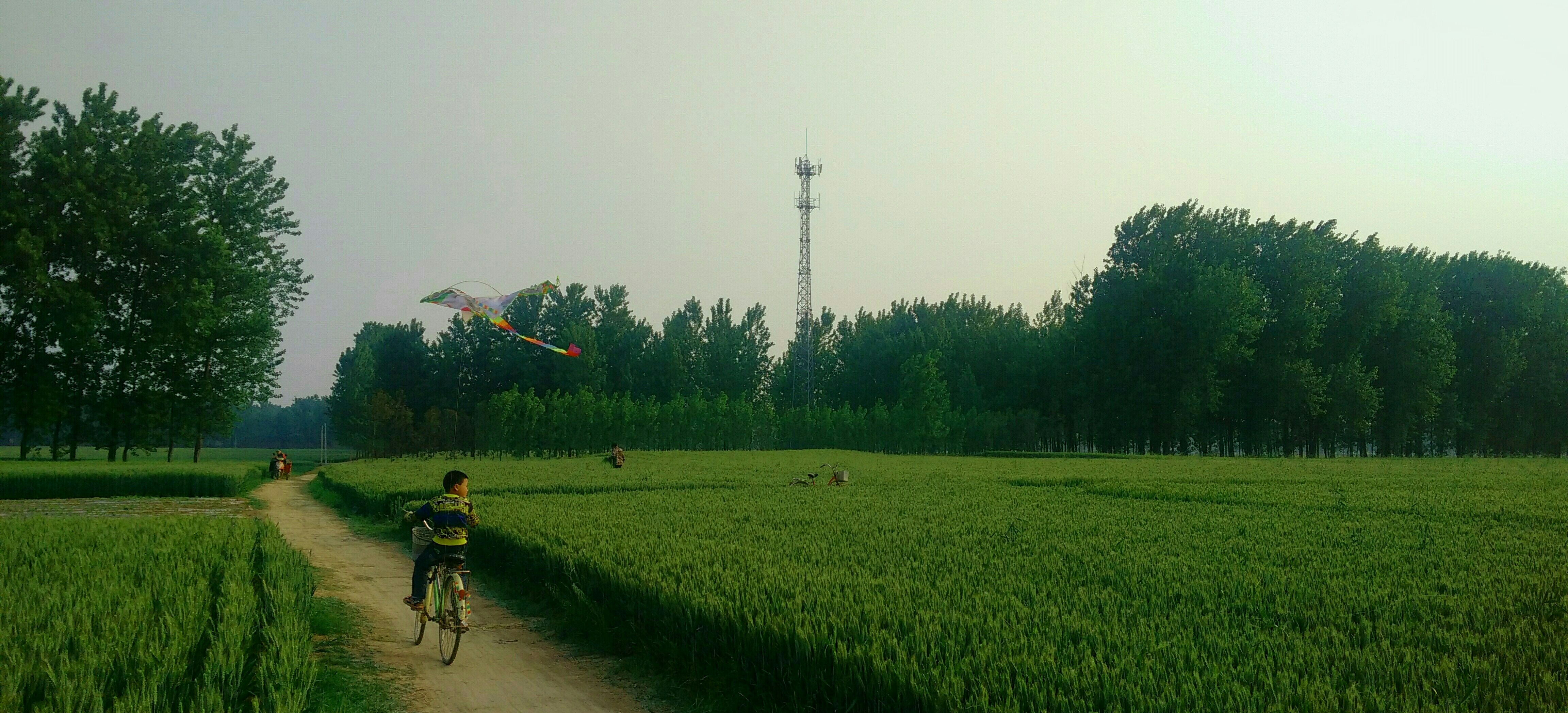 Free Unsplash photo from W ZX