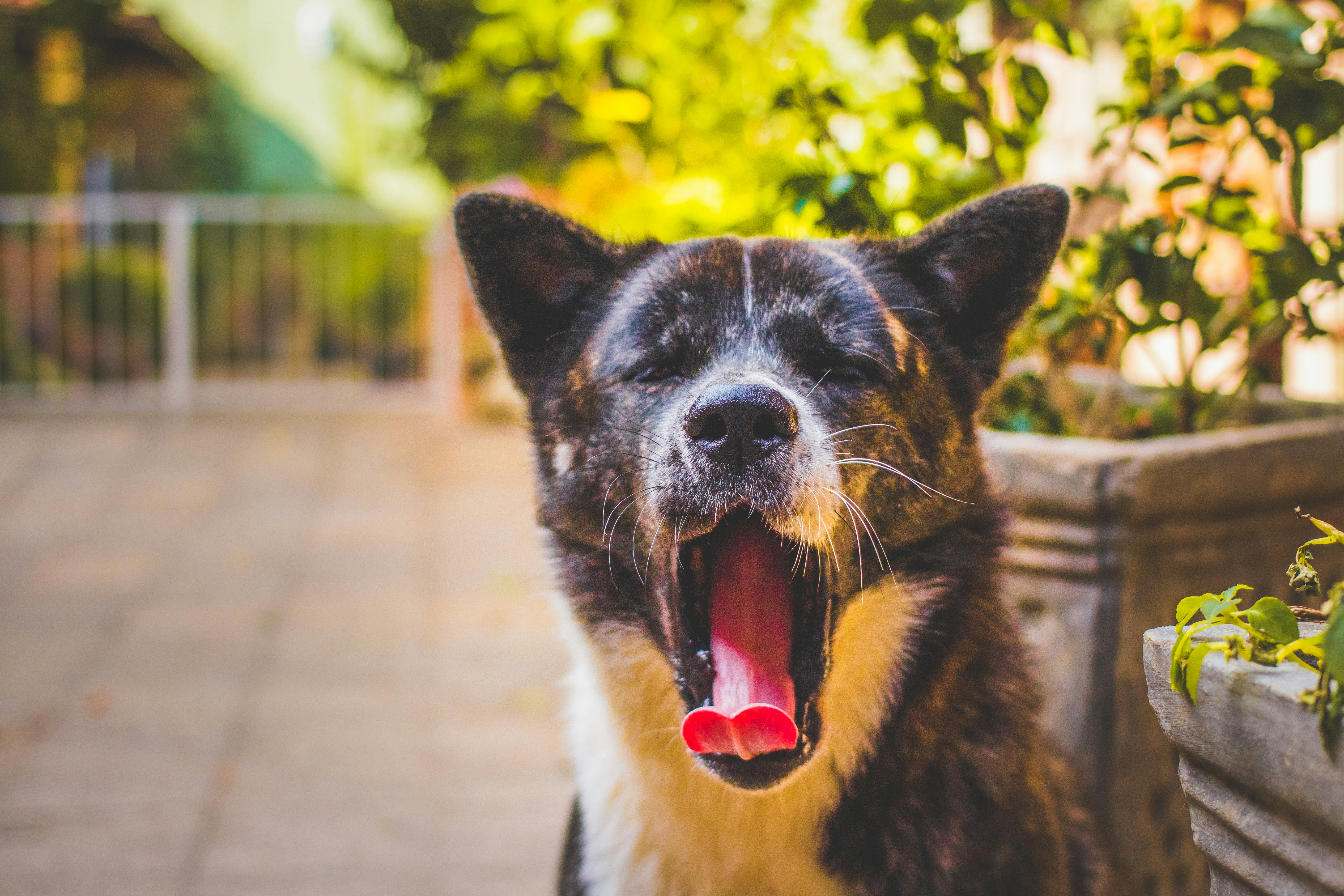 Free Unsplash photo from / upslon  /