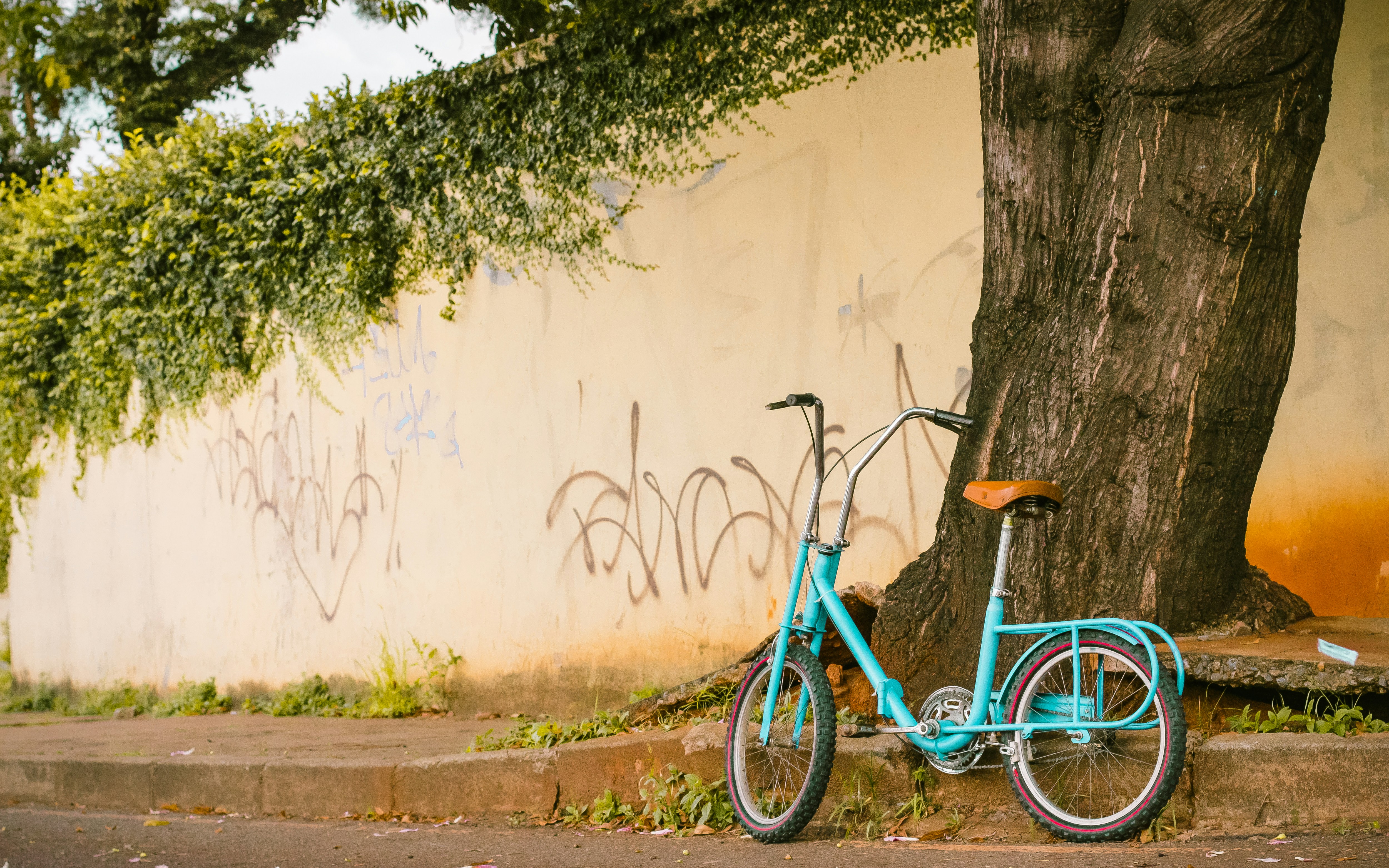 Free Unsplash photo from / upslon  /