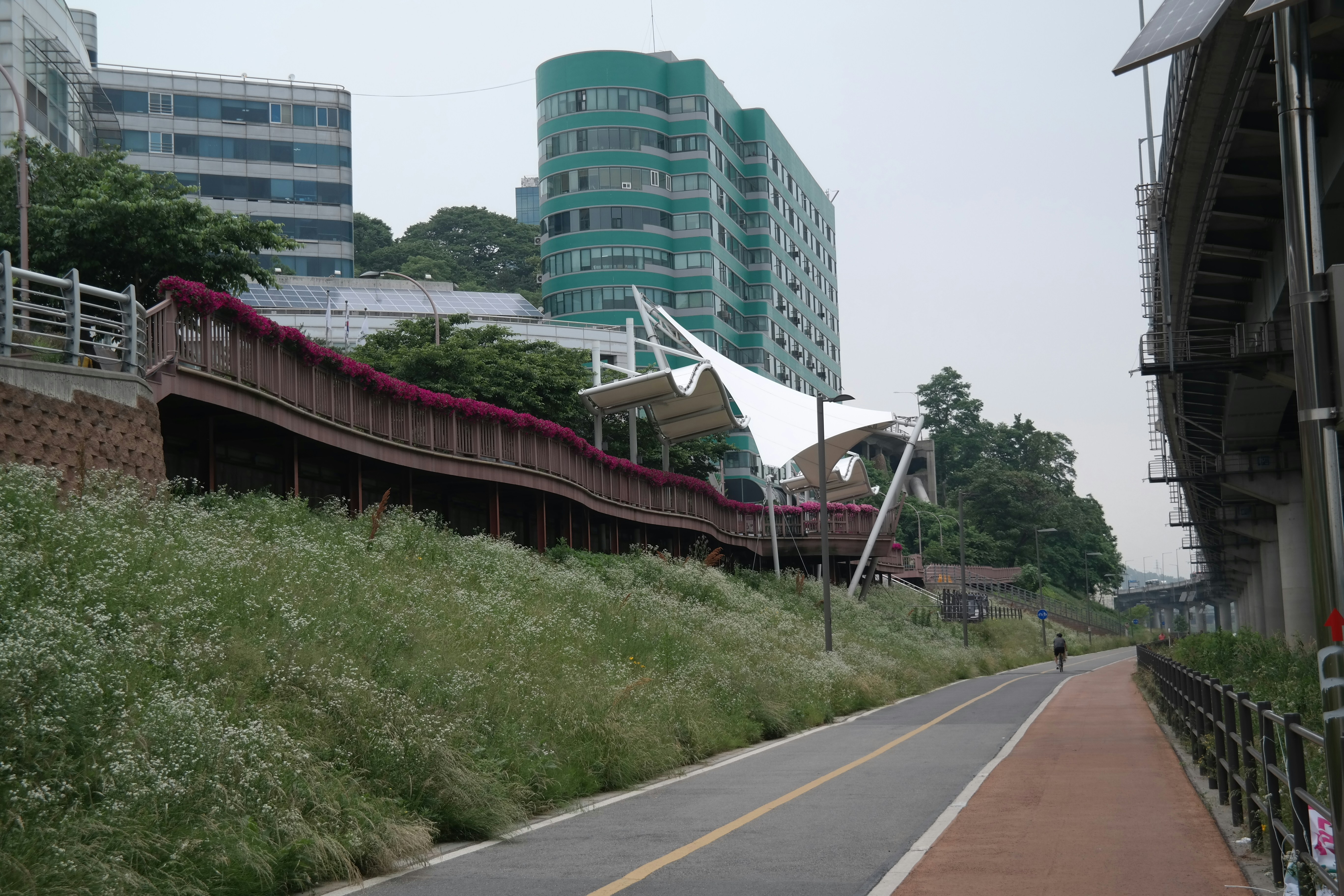 Free Unsplash photo from sungjun park