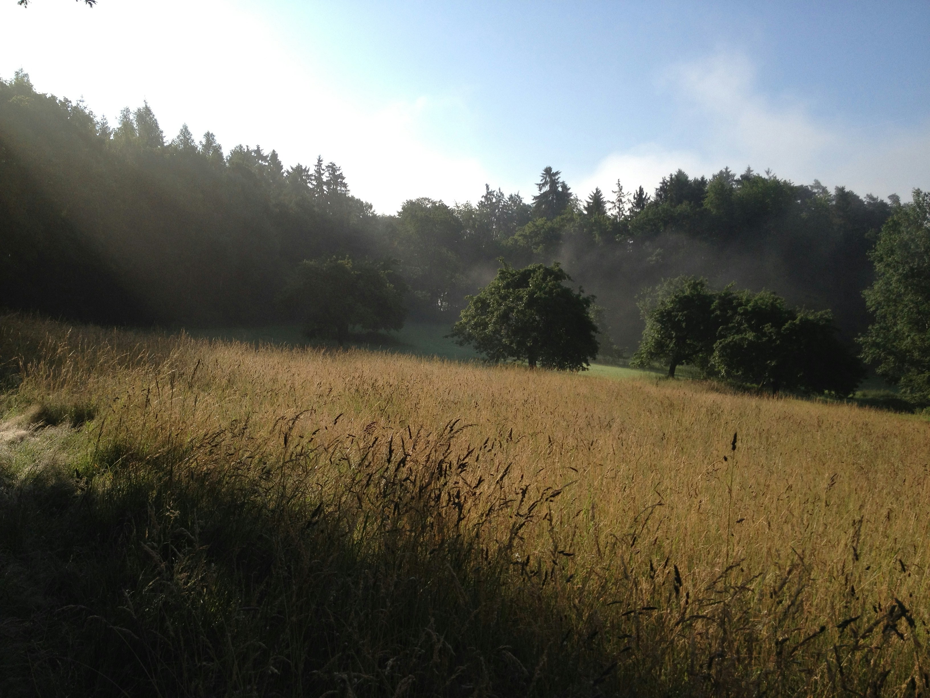 Free Unsplash photo from Christian Kantelberg