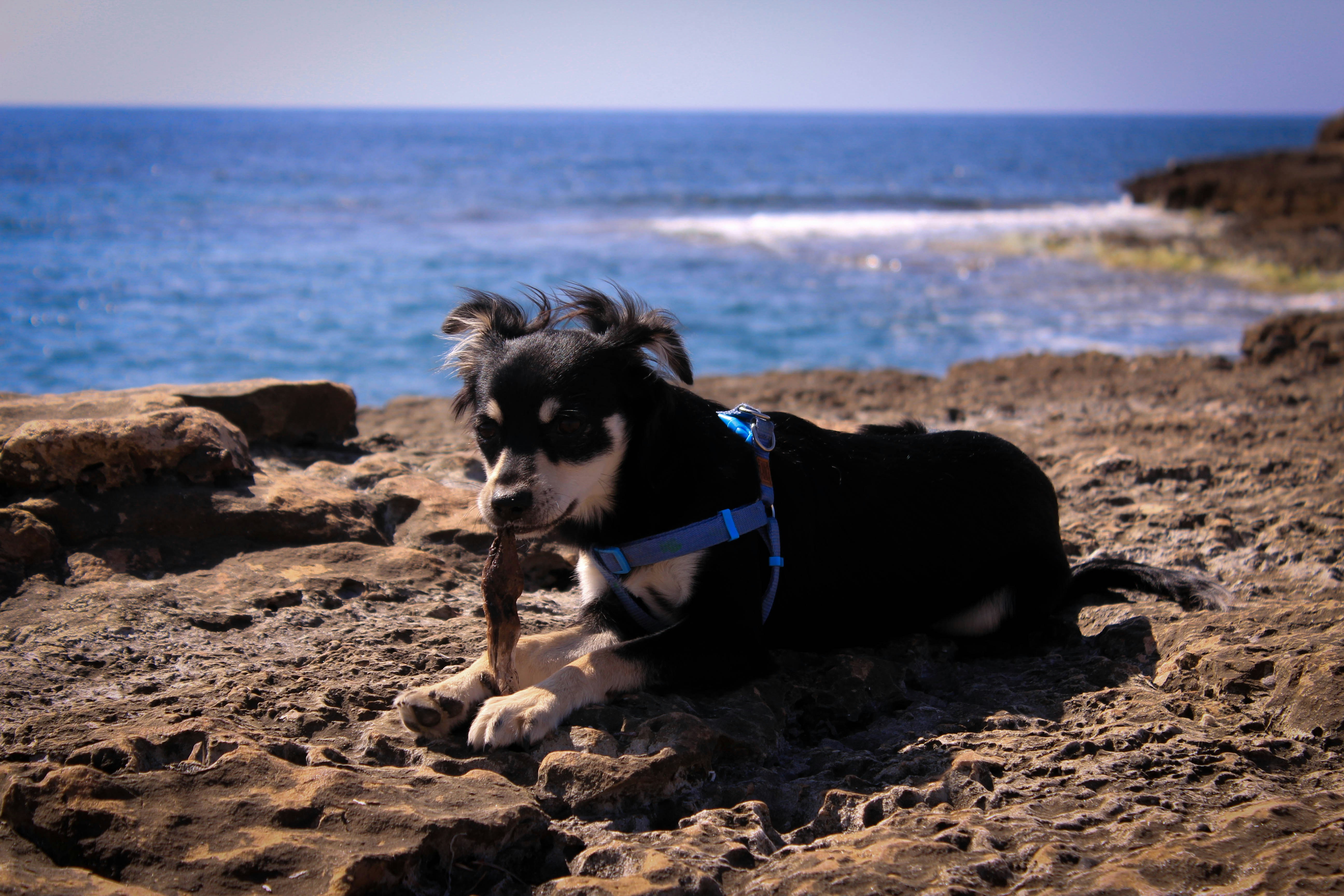 Free Unsplash photo from Antonio J Pacheco Marco