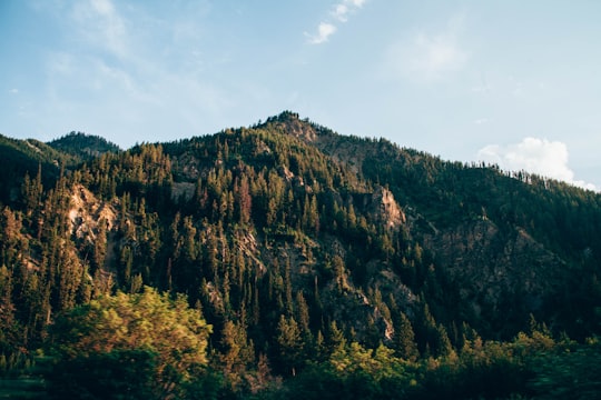 trees covered mountains during daytime in Alpine United States