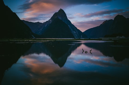 photo of lake with reflection of mountains under cloudy sky in Milford Sound New Zealand