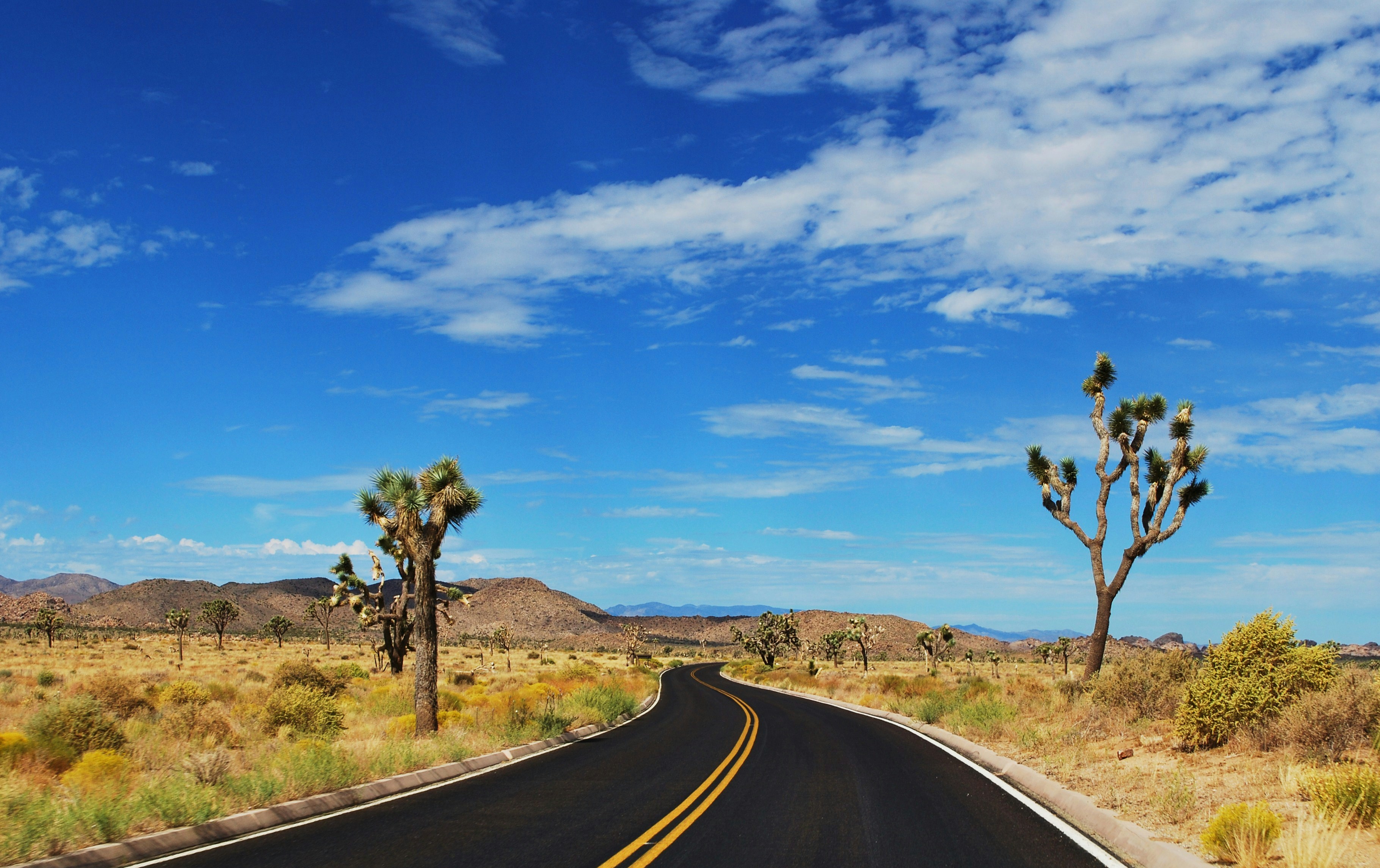 Free Unsplash photo from Marty B.