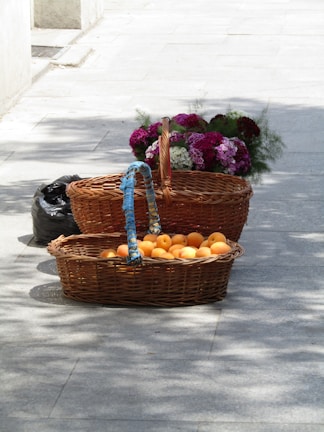 Sunlit baskets filled with golden apricots drying naturally under the clear blue sky in Chitral.