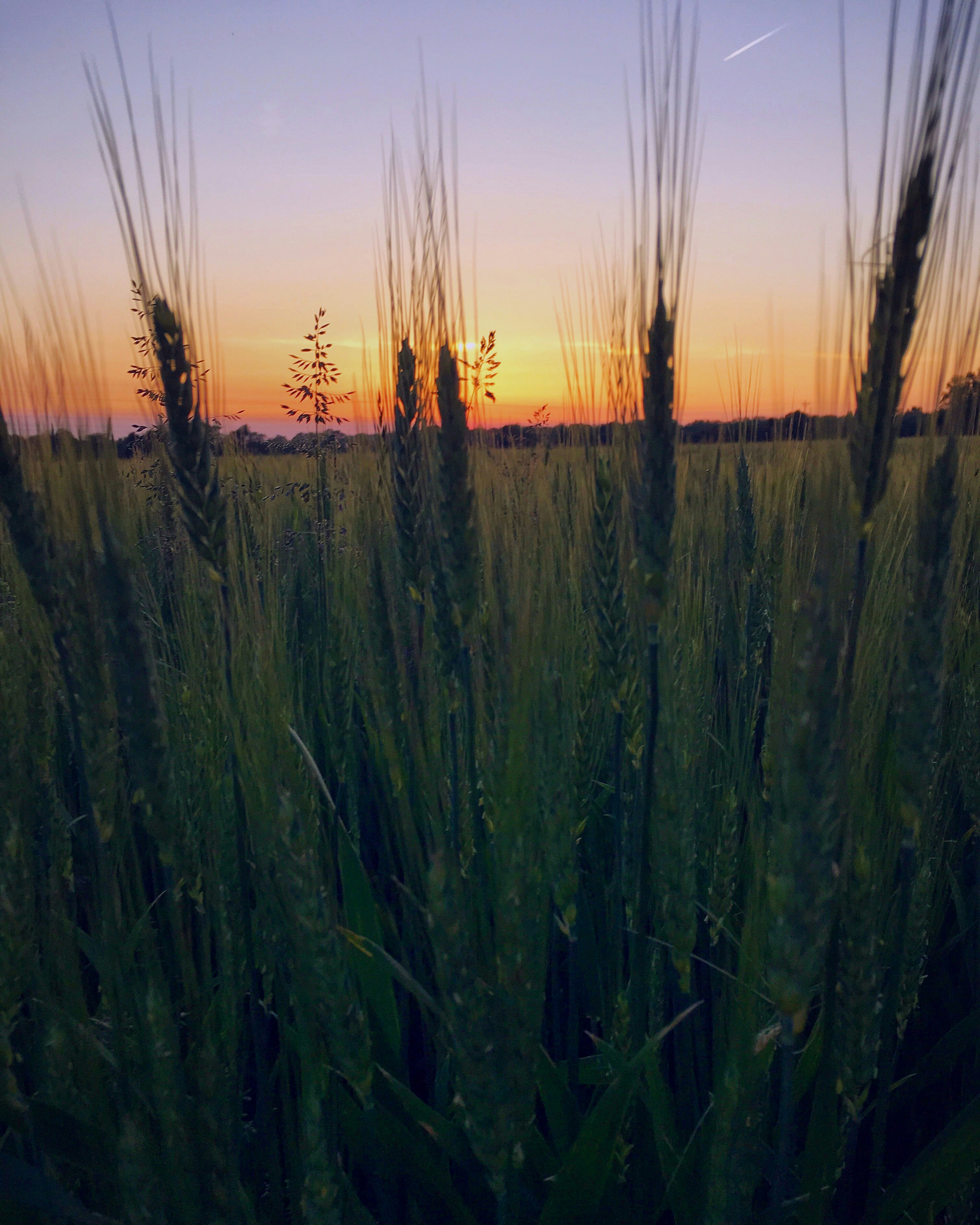 Free Unsplash photo from Luke Briggs