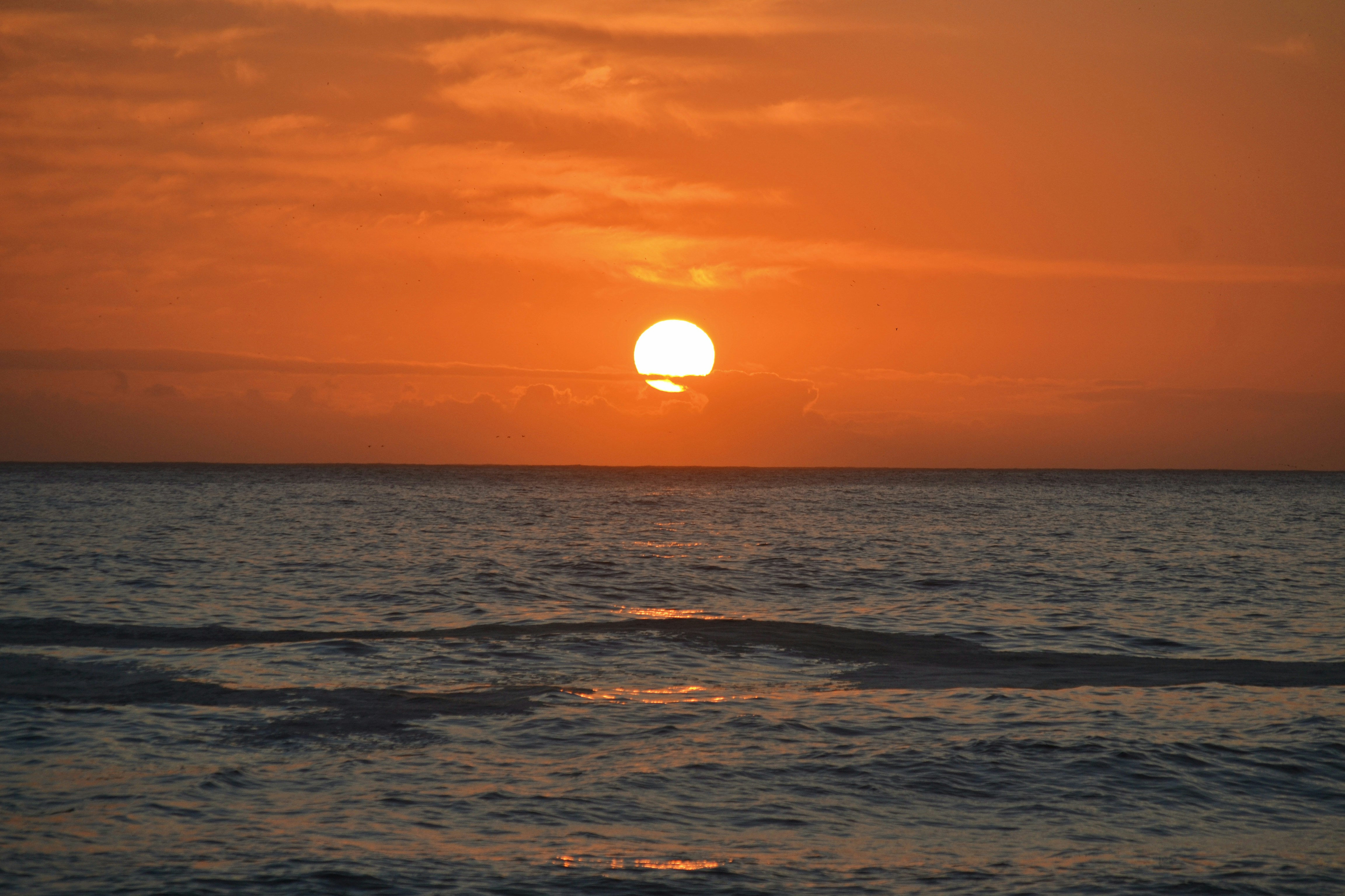 Free Unsplash photo from Carolinie Cavalli