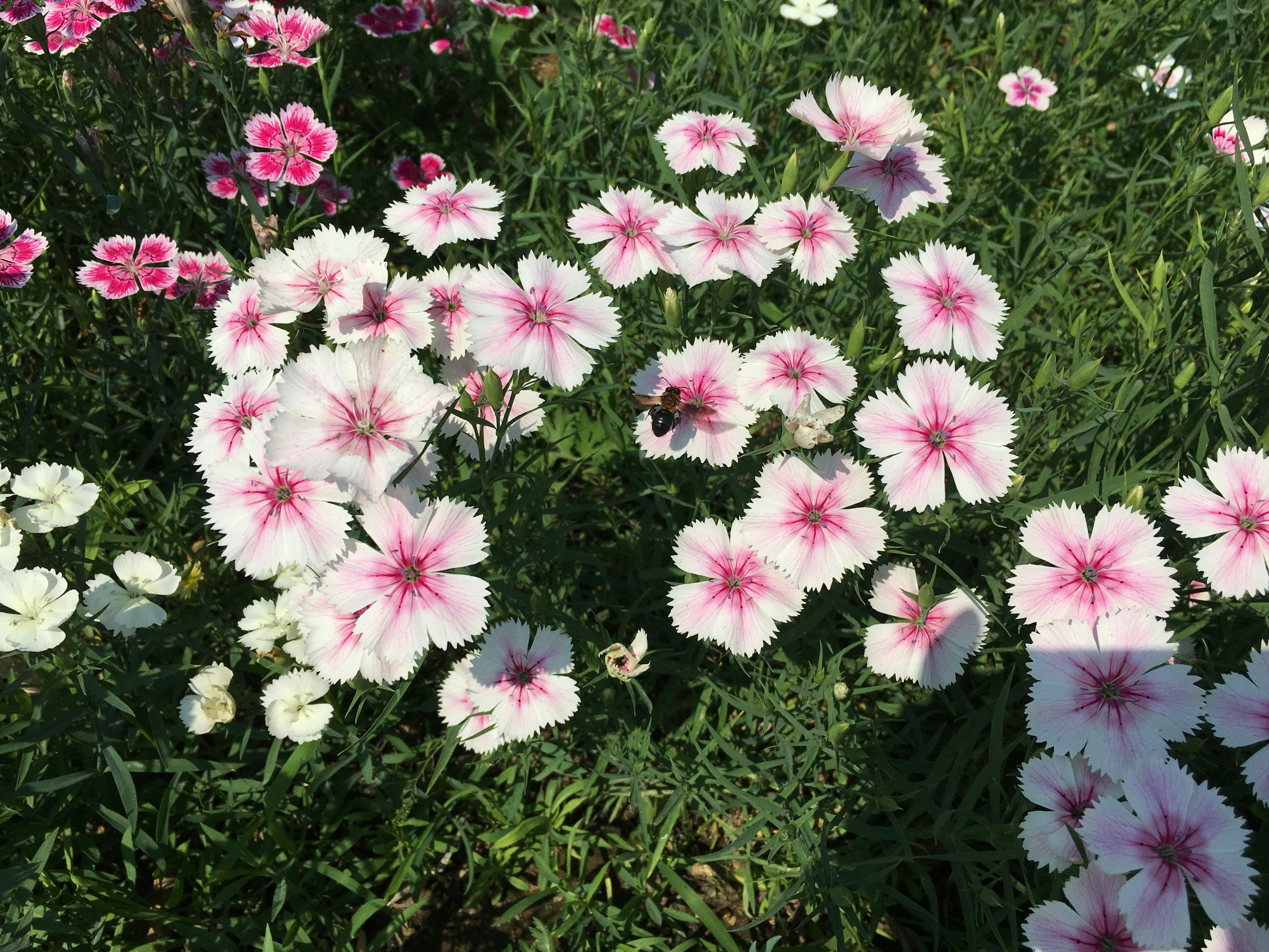 Free Unsplash photo from Colin Liu