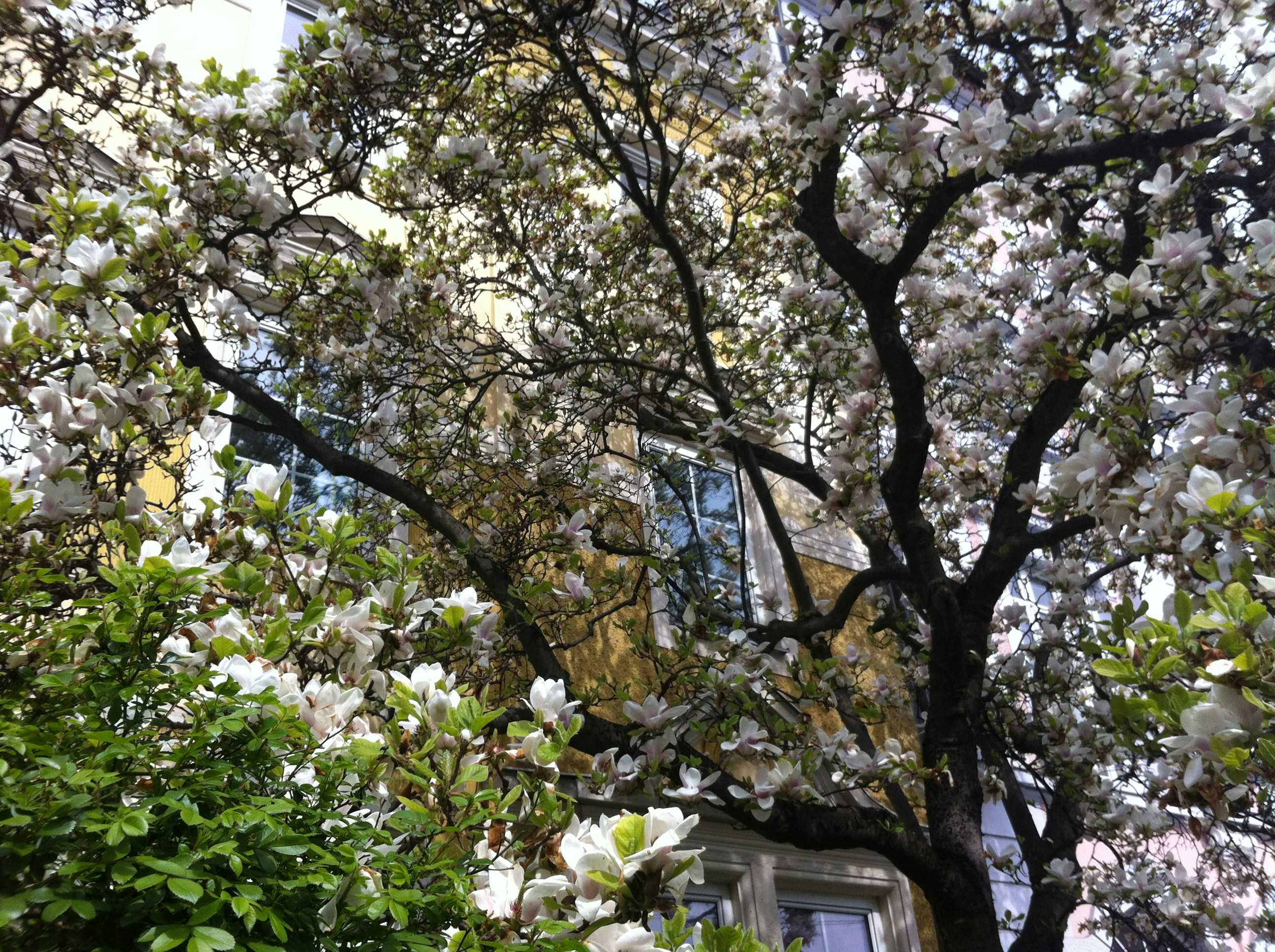 Free Unsplash photo from Jürgen Fadljevic