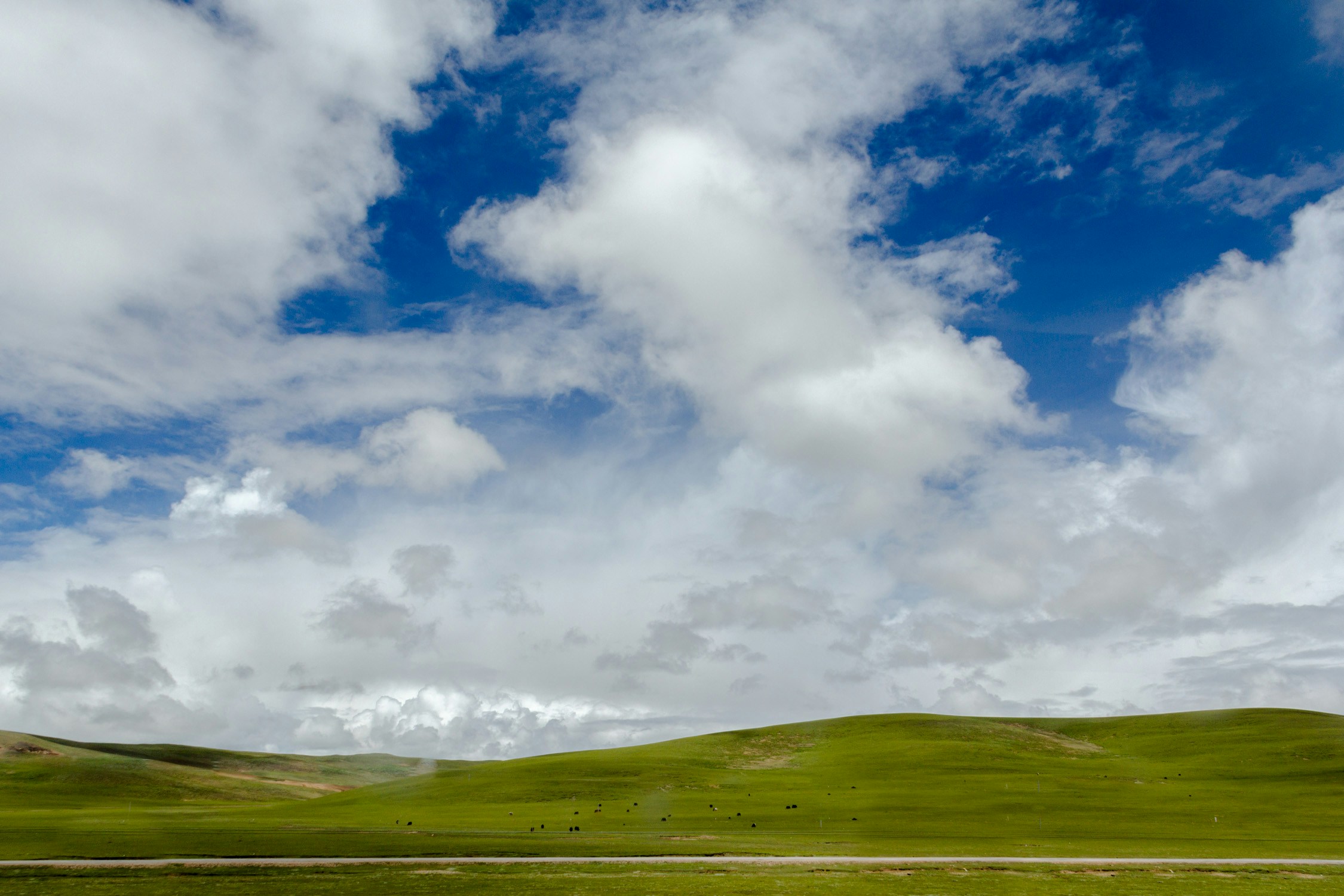 Free Unsplash photo from Shawn Hou