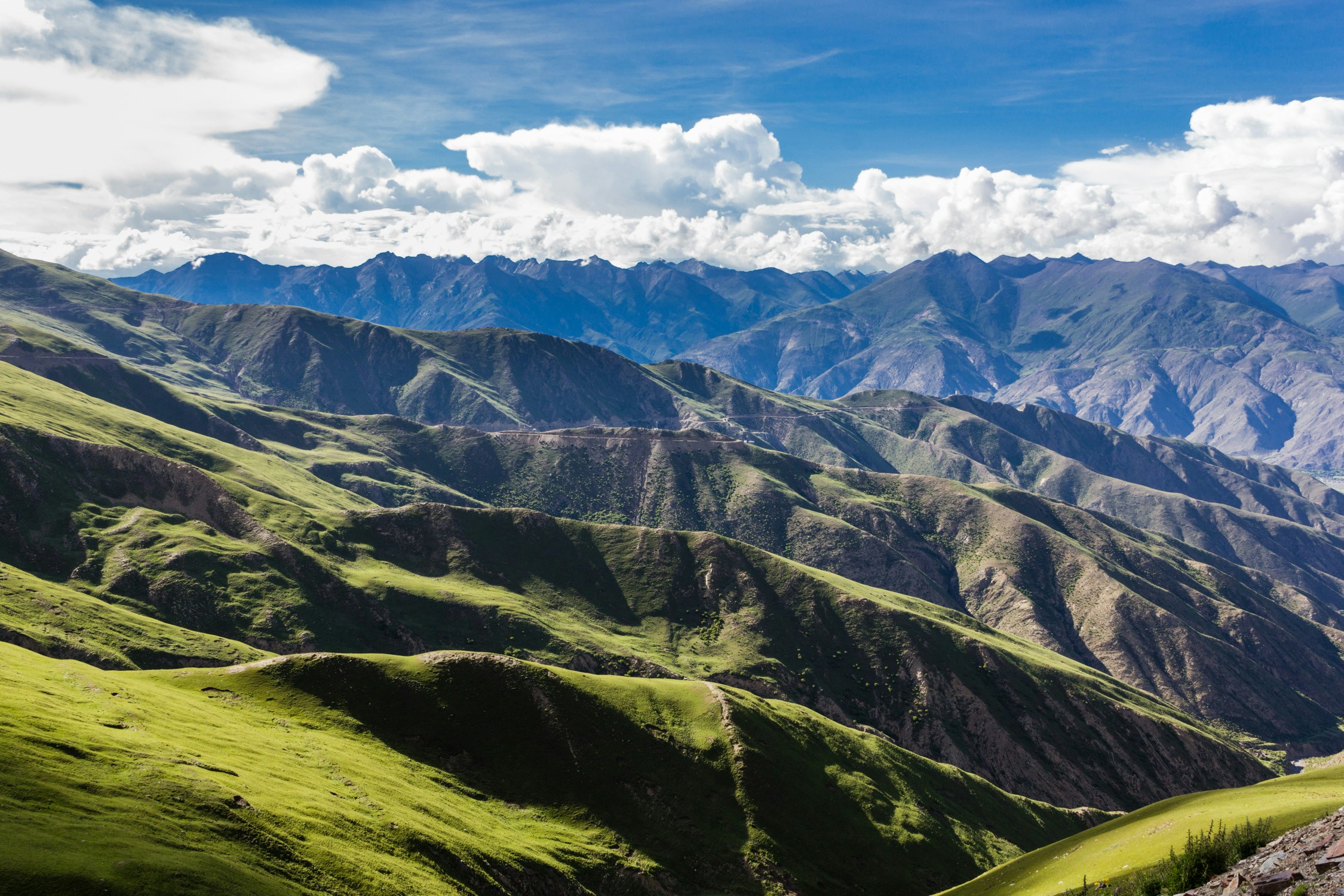 Free Unsplash photo from Shawn Hou