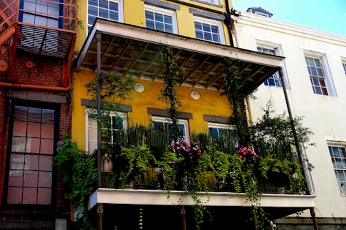 A lush vertical garden climbing a city apartment balcony, bursting with vibrant greens and colorful flowers.