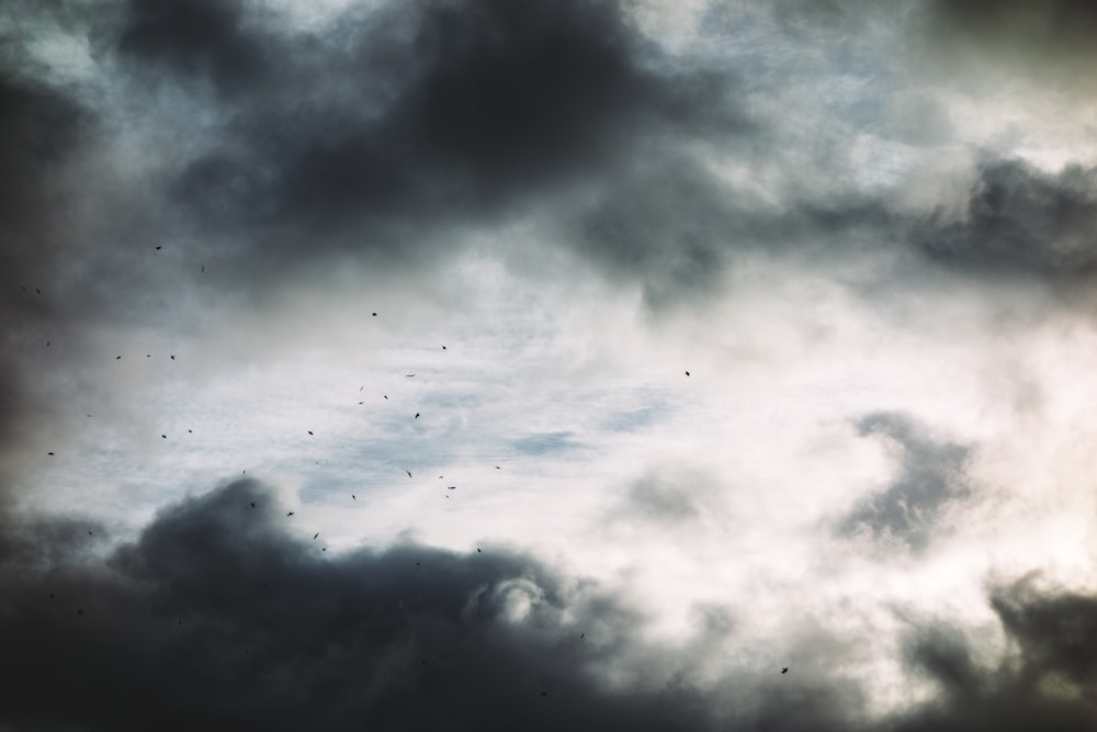 Foto de ángulo bajo de cúmulos de nubes