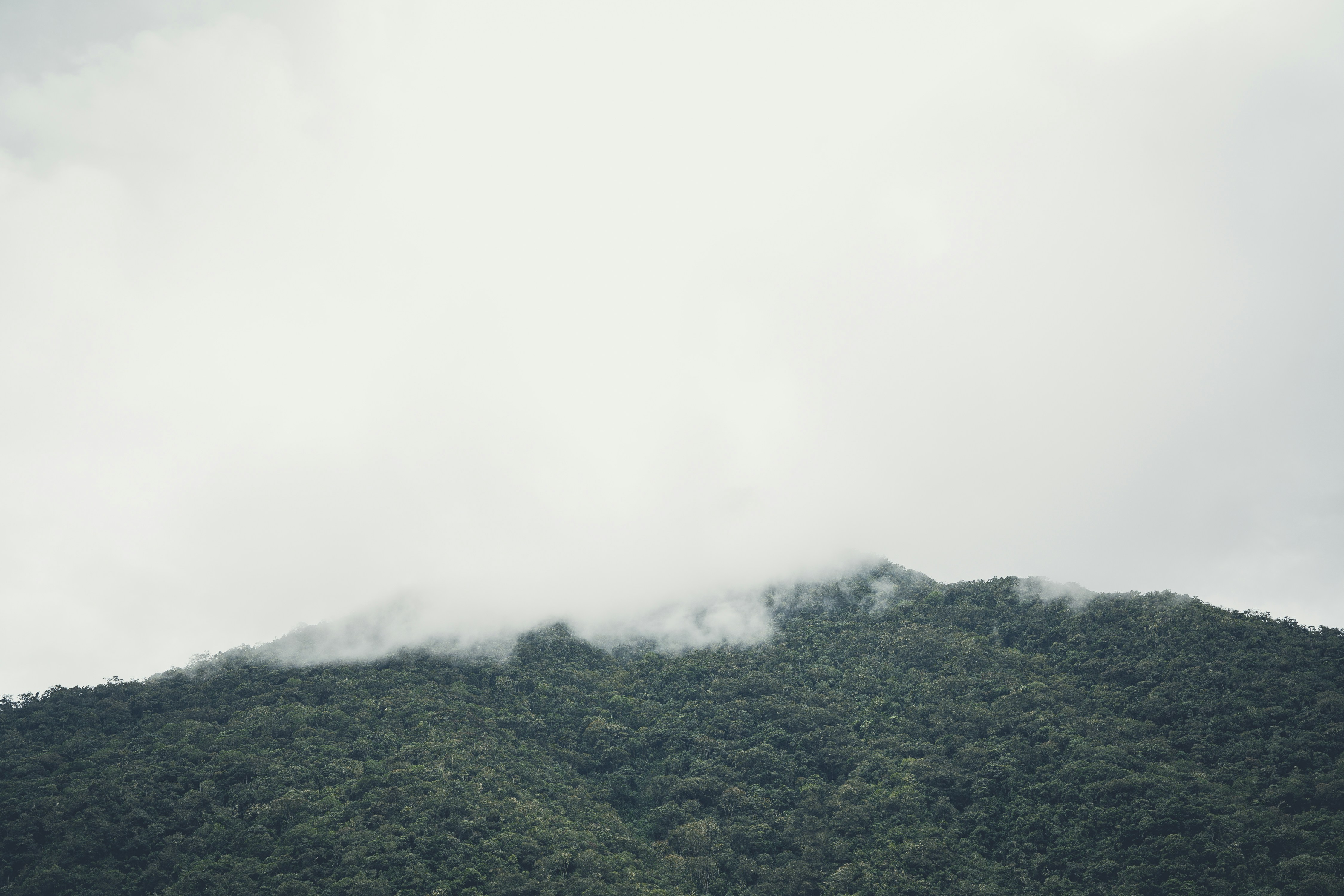 Free Unsplash photo from Matt Walker