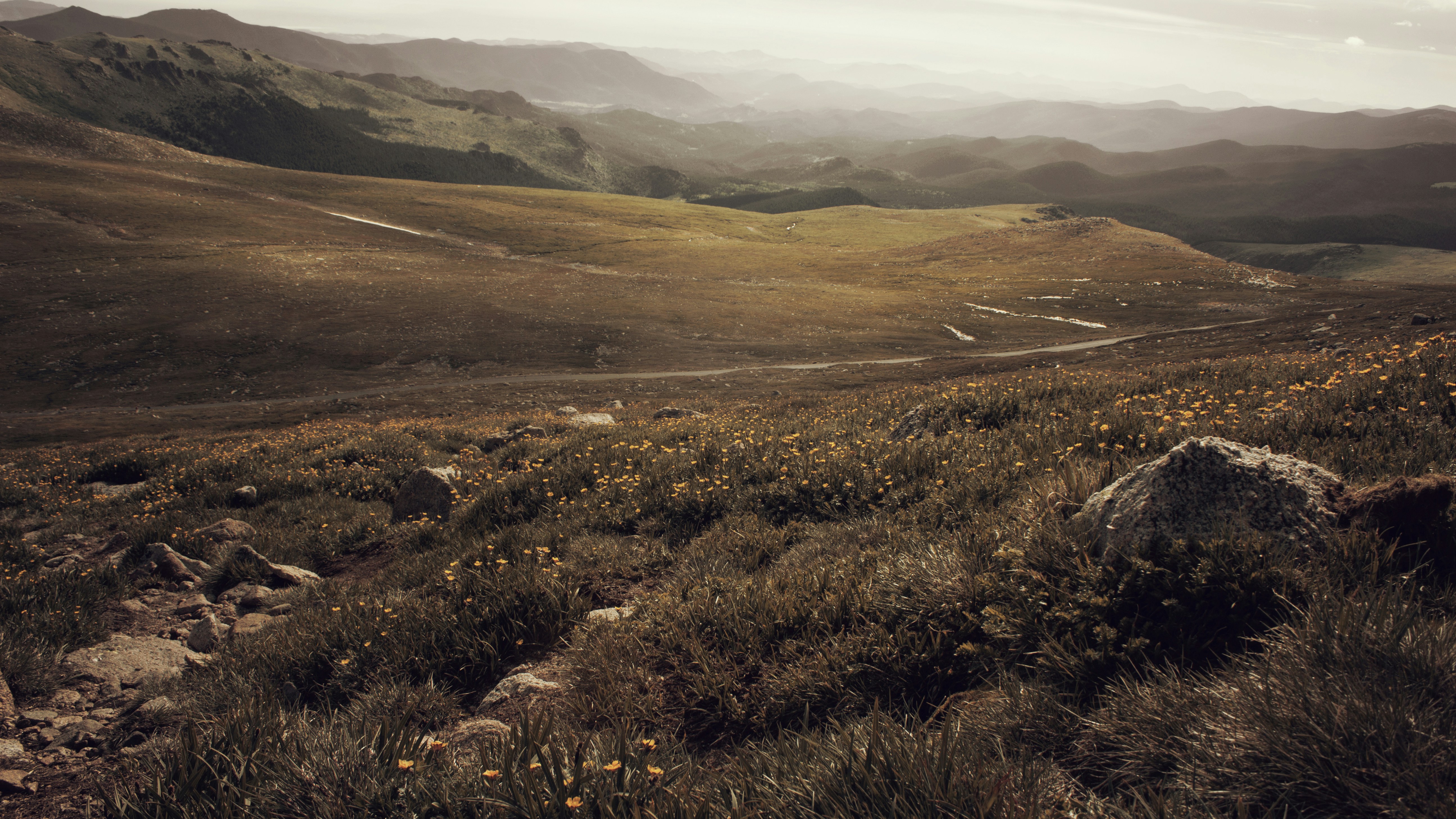 Free Unsplash photo from Matthew Hall