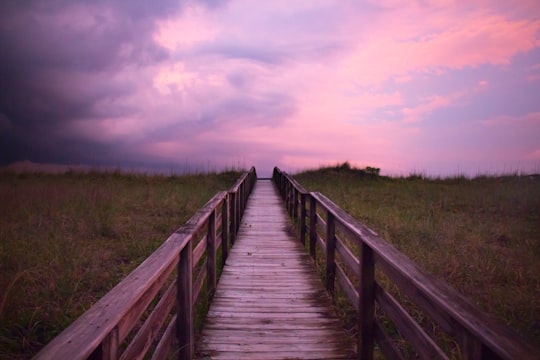 brown wooden bridge over green grass field under white clouds in Carolina Beach United States