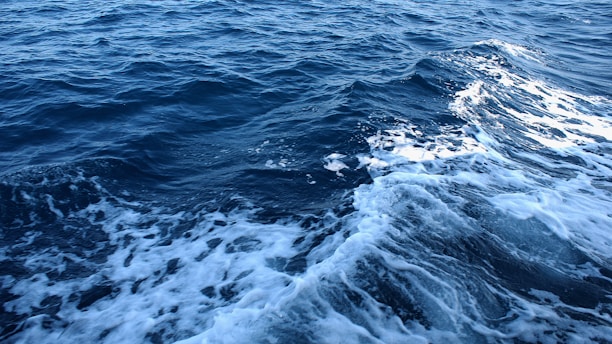 Dark blue ocean waves with white foam cresting at the top create a dynamic and serene water surface.