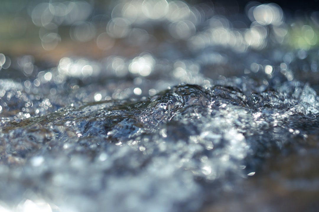 close up photo of water